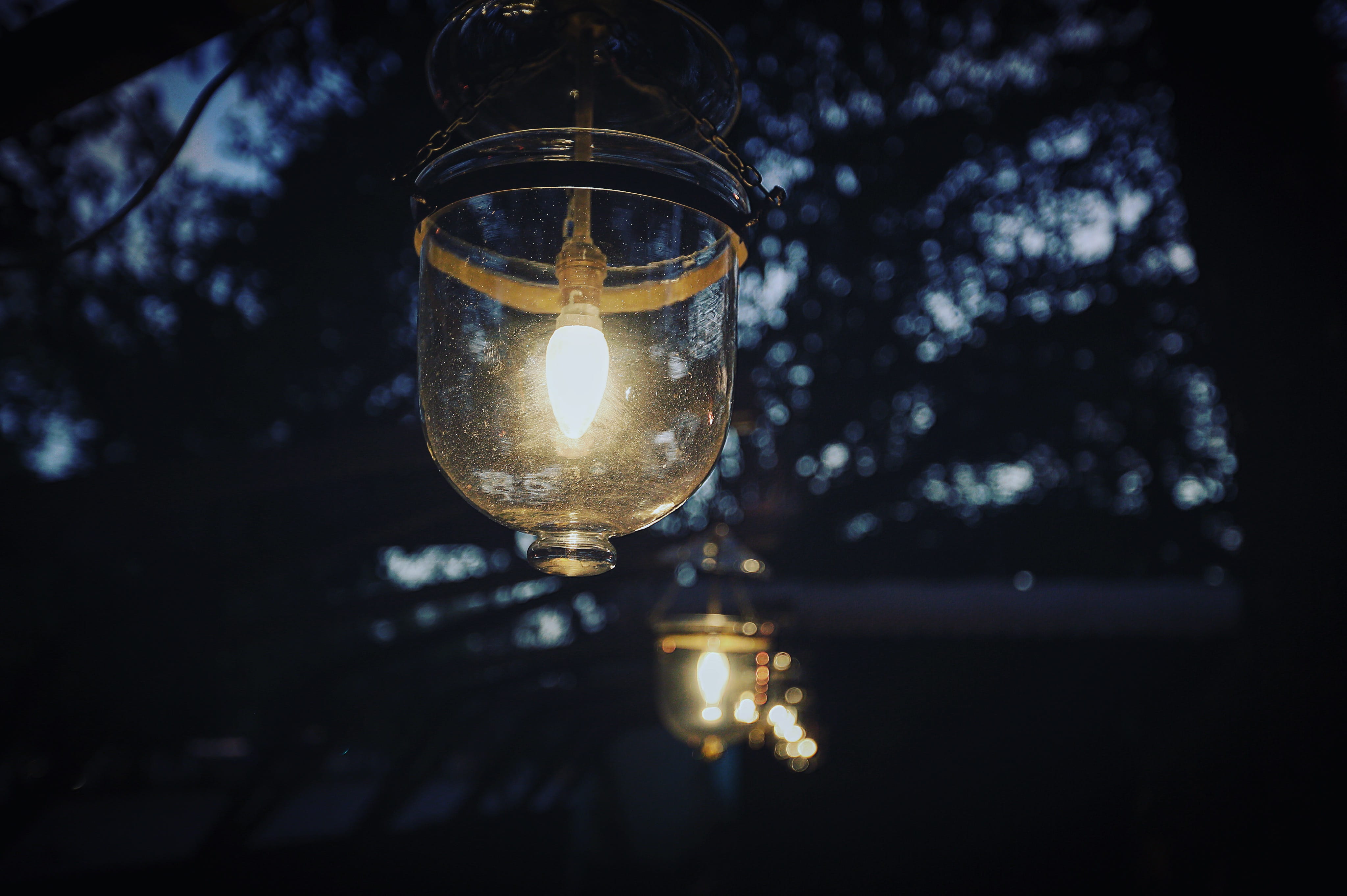 evening, transparent, winter, glass, dark, shiny, photo, light, tree, clear, electricity, lighted, outdoors, photography, light bulbs, lighting Equipment, HD Wallpaper