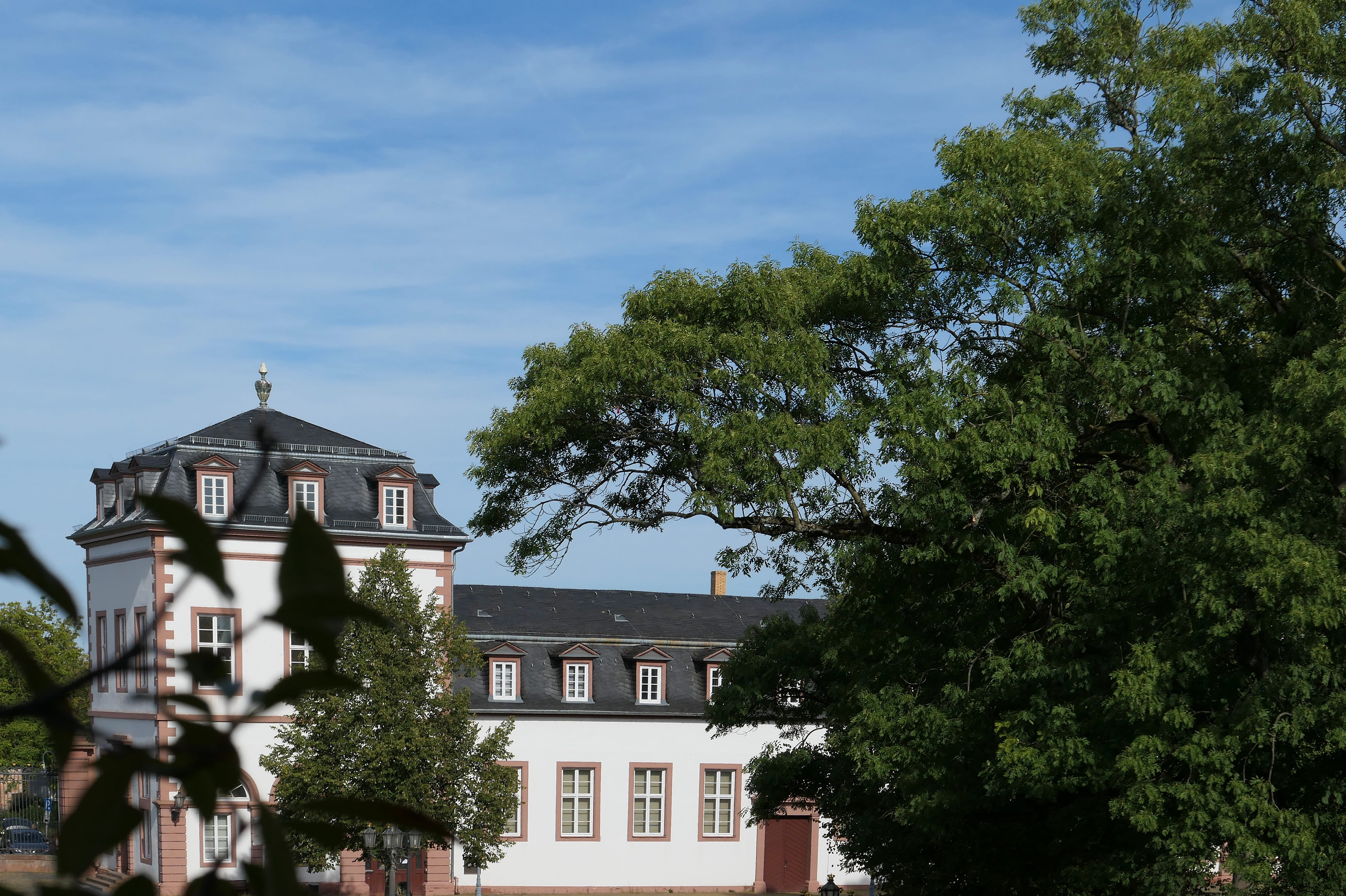 low angle view, places of interest, outdoors, sky, residential district, house, castle, tree, day, belief, main, historic center, religion, spirituality, HD Wallpaper