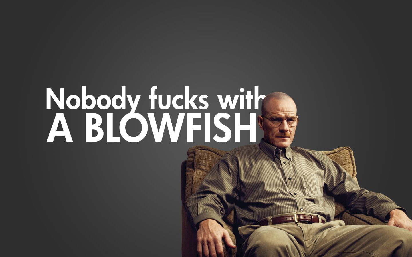 sitting, looking at camera, business, indoors, text, three quarter length, studio shot, Bryan Cranston, men, adult, s, sign, government, Breaking Bad, TV Show, HD Wallpaper