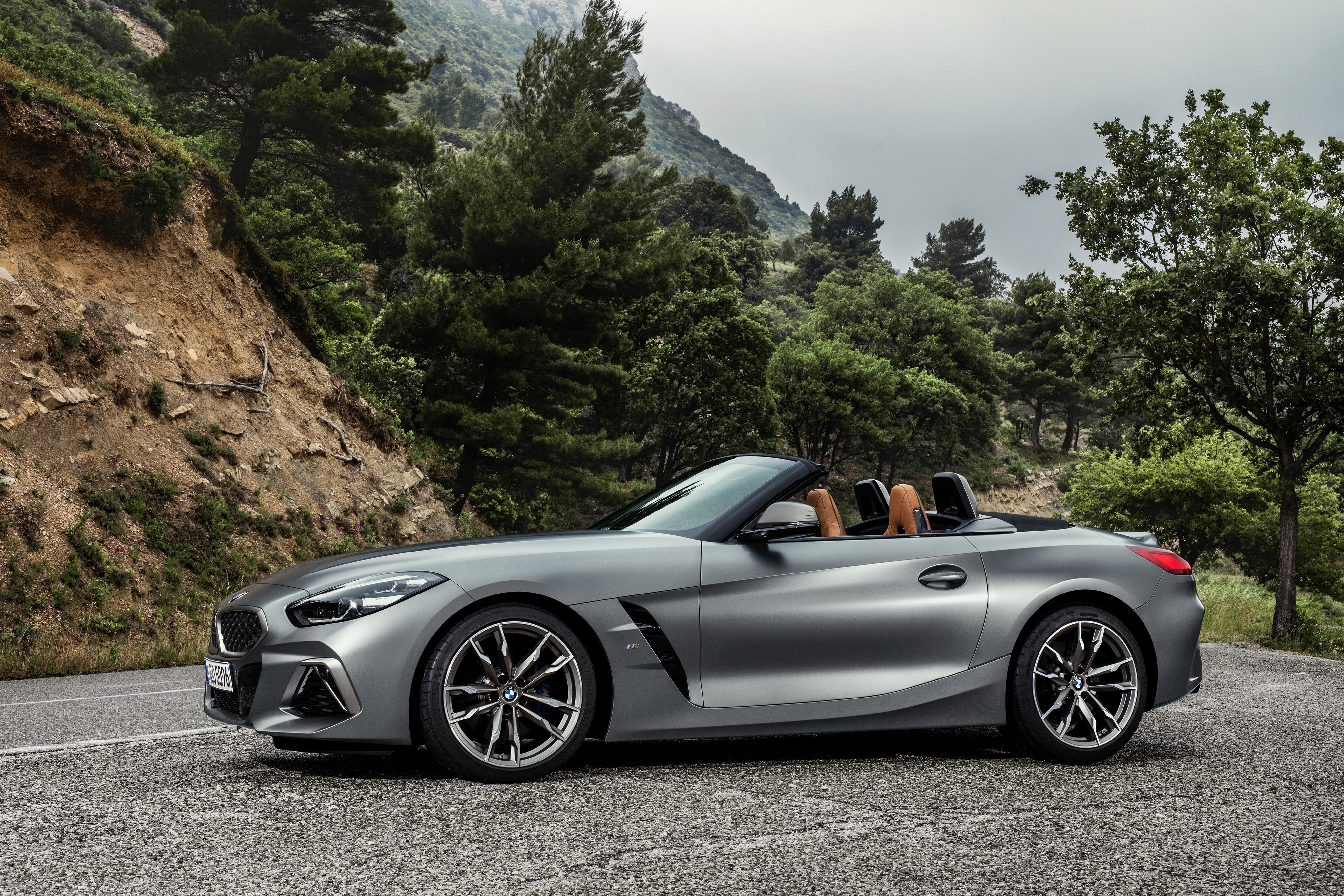 2019, grey, trees, Roadster, BMW Z4, G29, M40i, Parking, Z4, BMW, 4K, HD Wallpaper