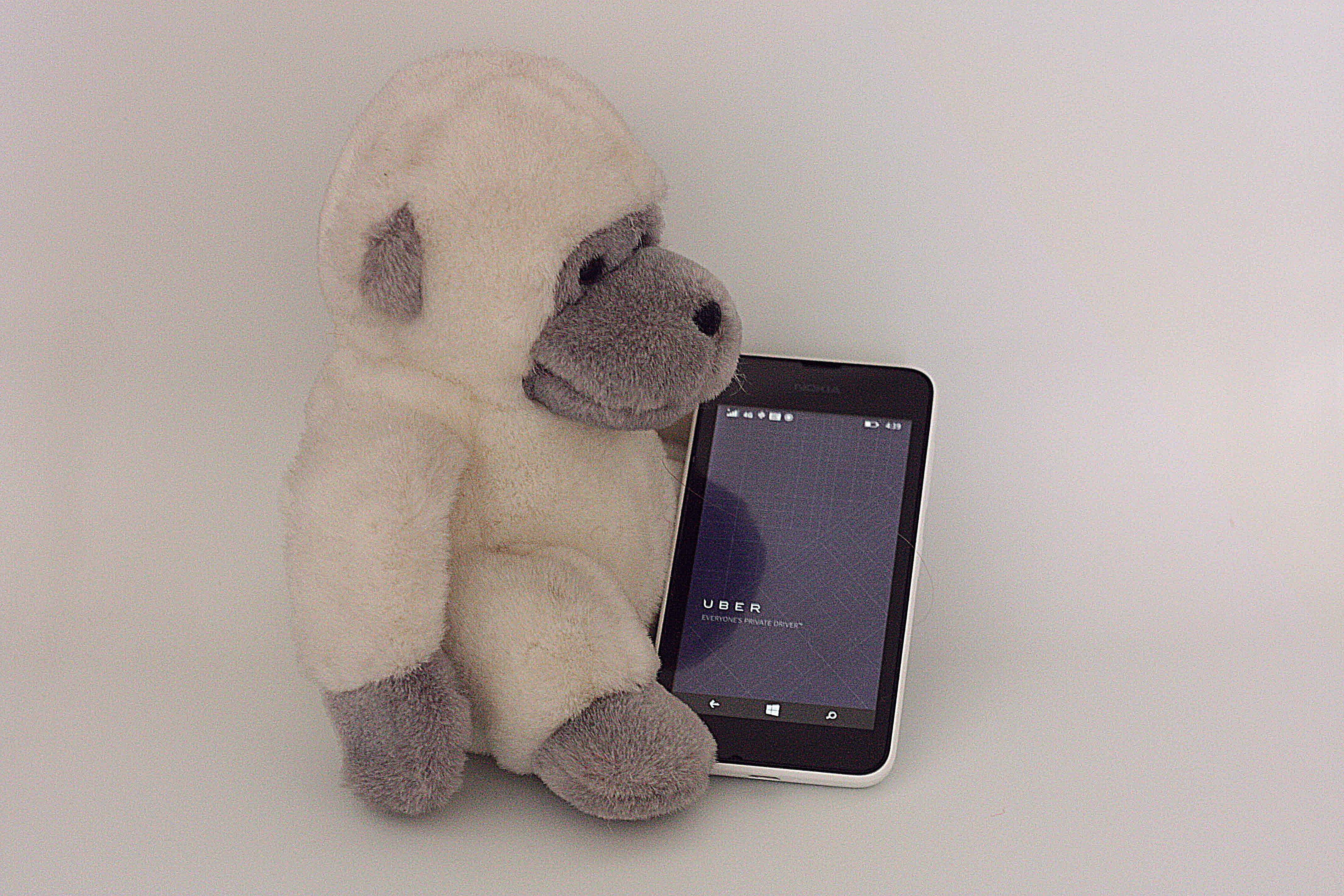 still life, portable information device, Car, connection, wireless technology, music, transportation, no people, mammal, toy, mobile phone, teddy bear, HD Wallpaper