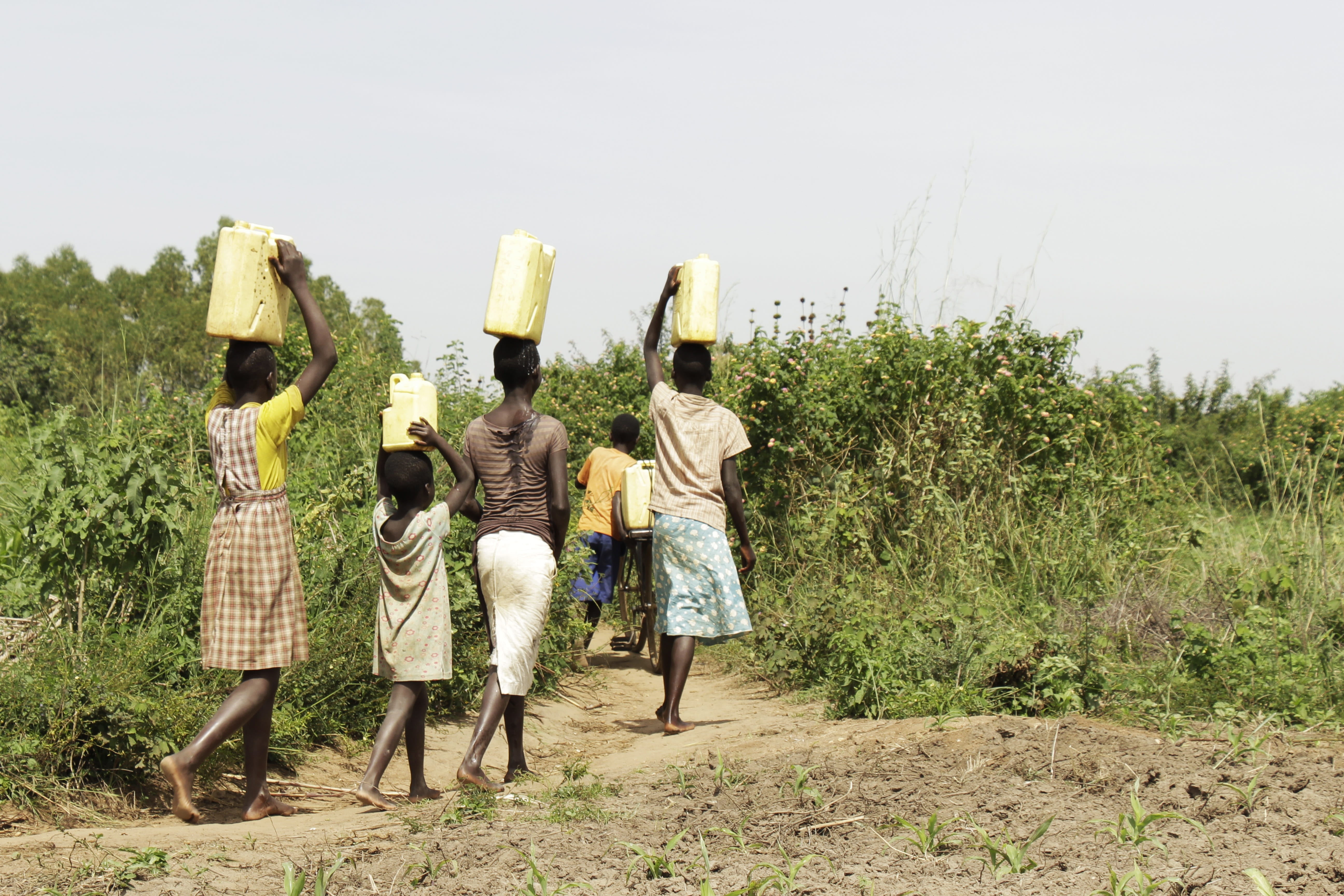 water, people, outdoors, rural scene, farmer, men, plant, africa, gardens, nature, drought, sky, land, siblings, adult, full length, uganda, 5K, safe water, HD Wallpaper