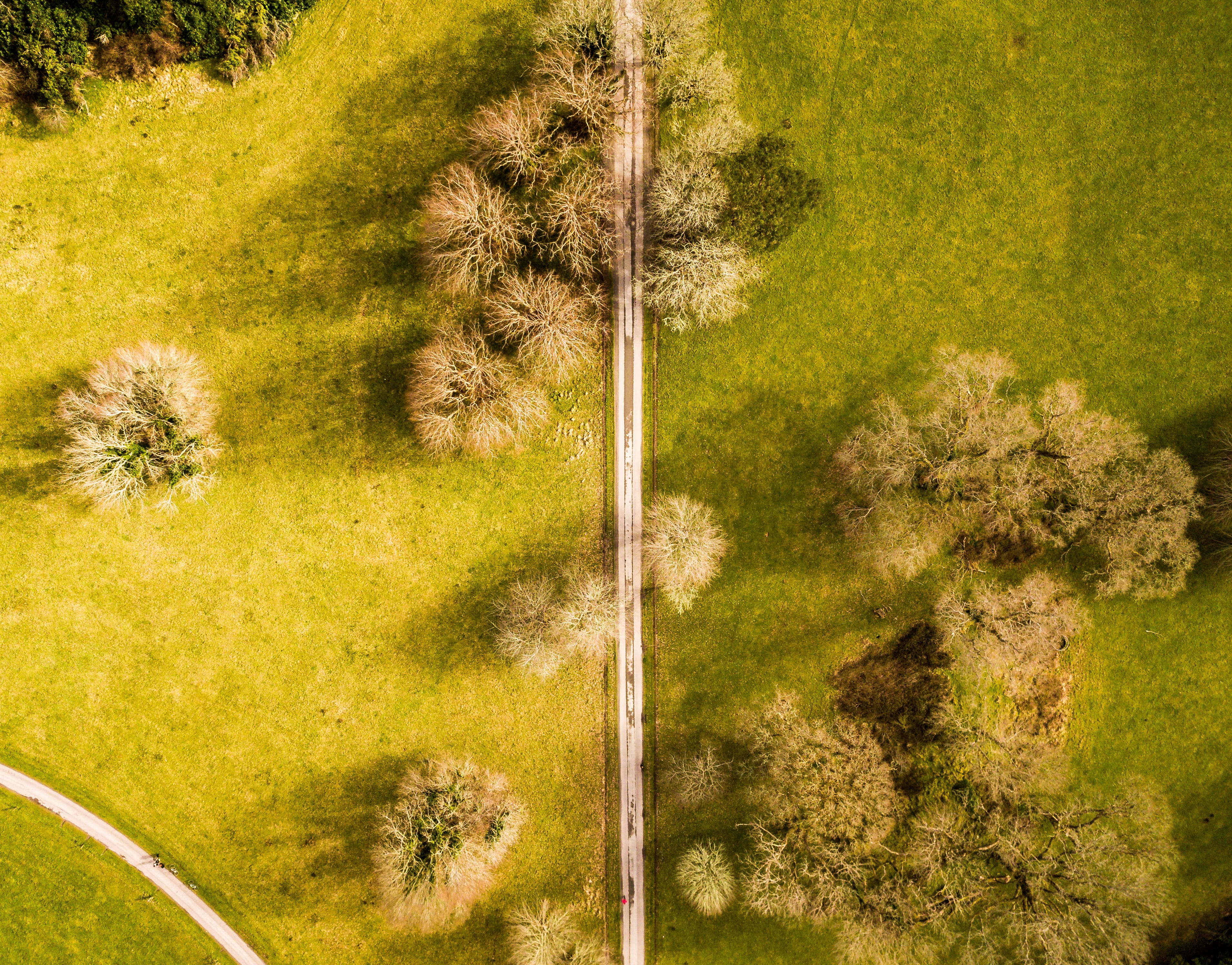 semi-arid, landscape, green, animal, irland, outdoors, tranquil scene, tree, land, trees, grasses, field, no people, meadow, vacation, sky, environment, HD Wallpaper