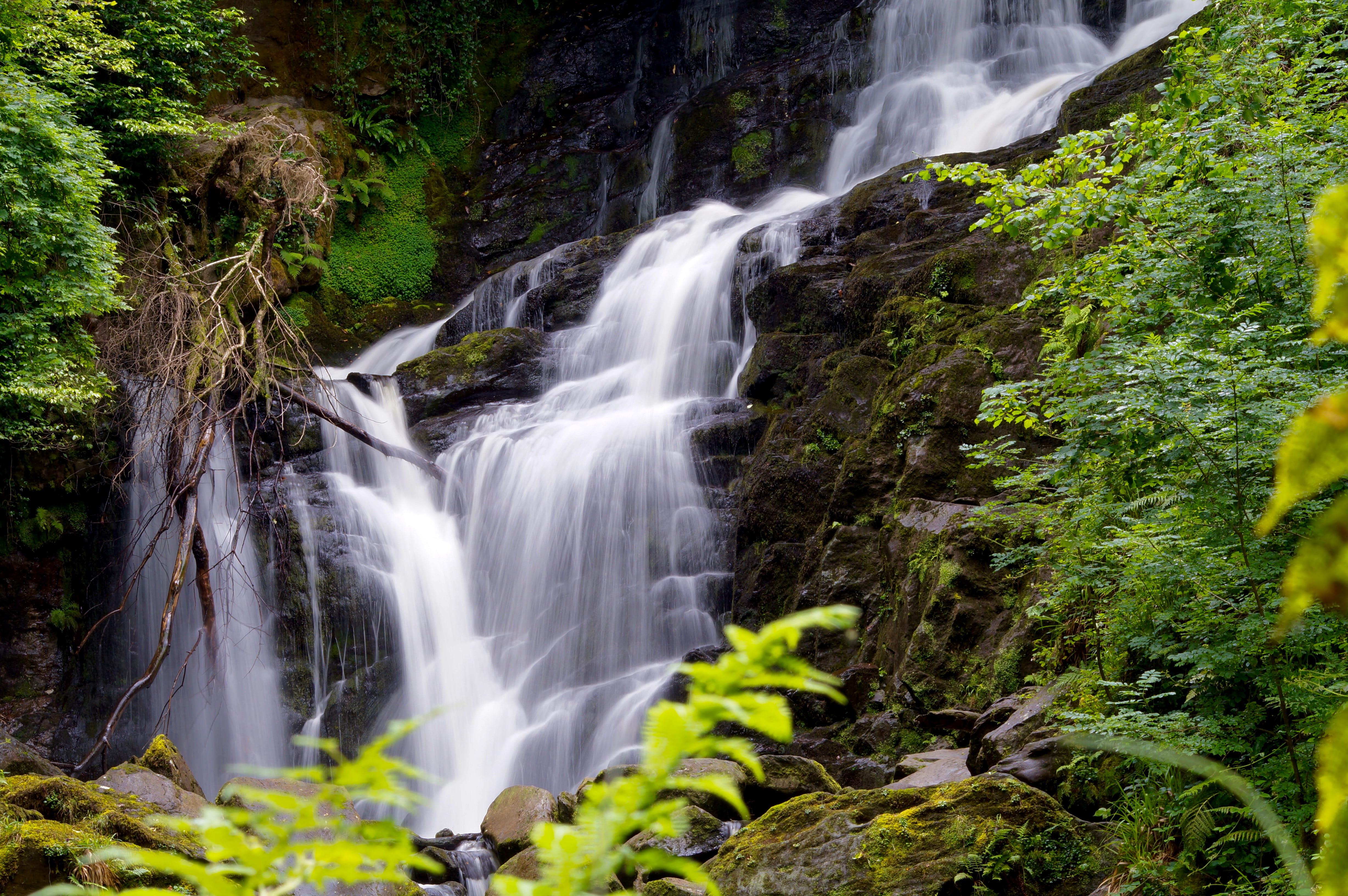 motion, power in nature, environment, beauty in nature, non-urban scene, nature, ireland, waterfall, rock - object, scenics - nature, forest, water, 4K, HD Wallpaper