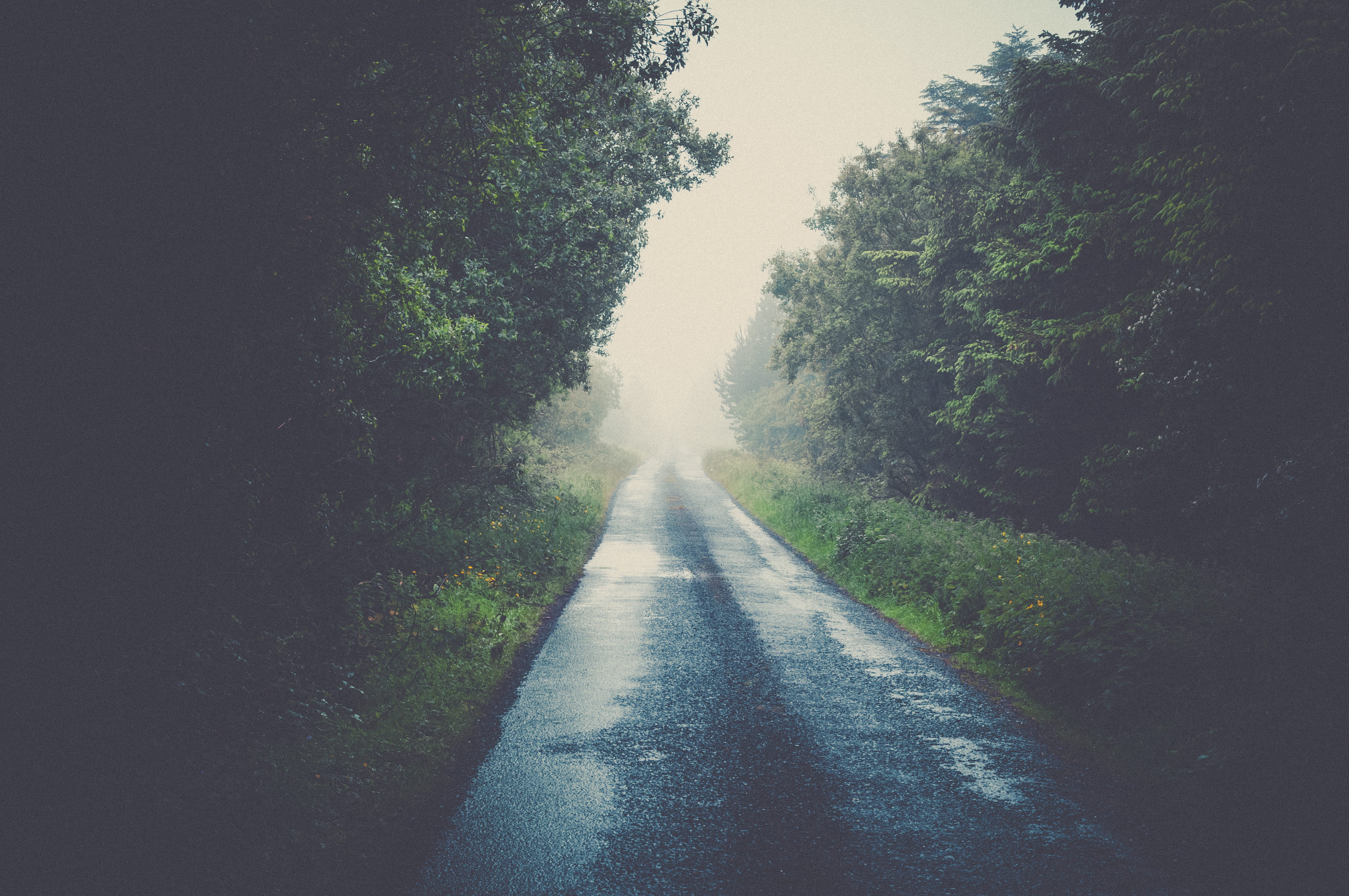 day, outdoors, no people, fog, way, dirt road, scenery, headlight, mist, gravel, beauty in nature, direction, plant, tree, sky, highway, travel, weather, HD Wallpaper