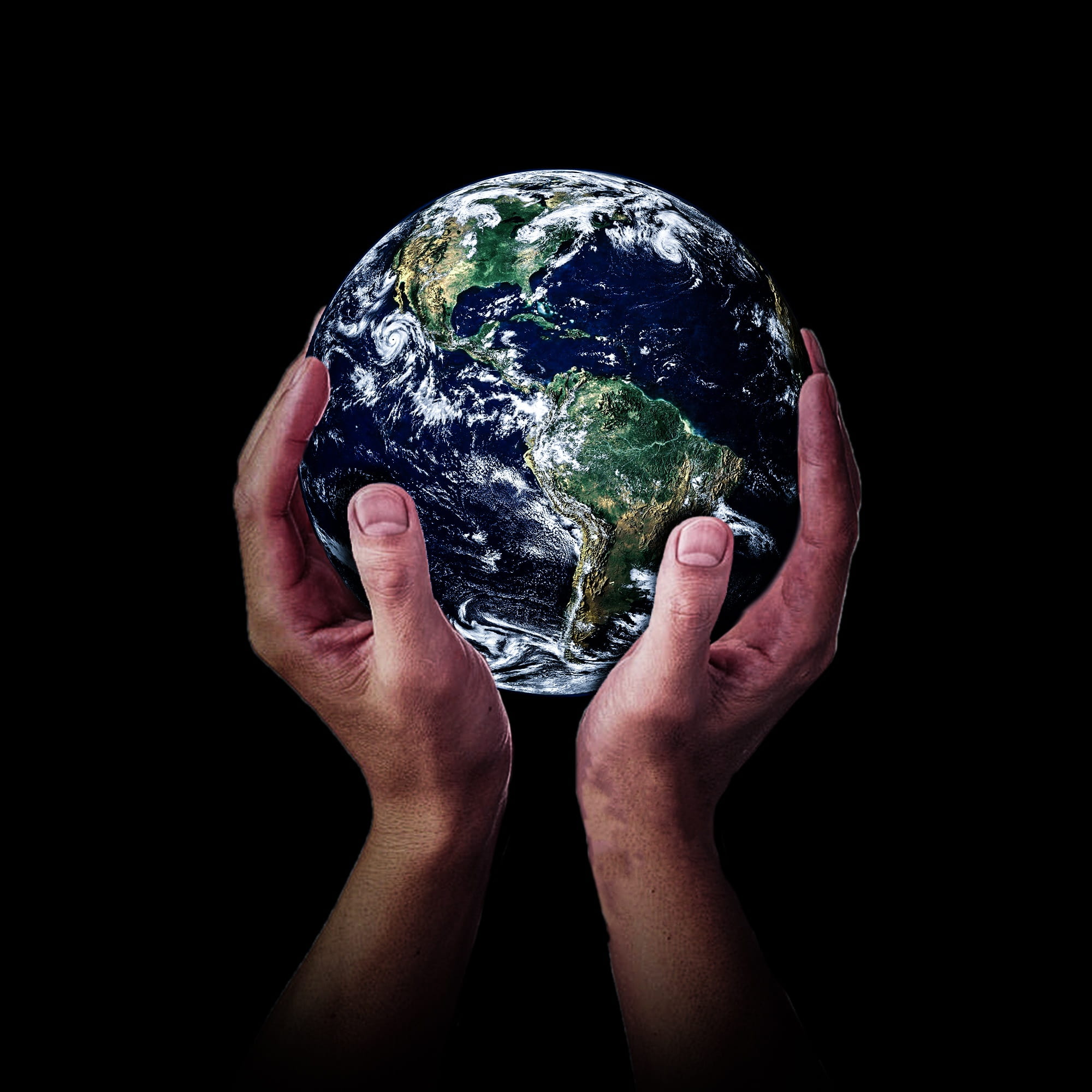 human body part, human hand, holding, care, hand, thank, environmental conservation, indoors, nature, black background, body part, studio shot, planet earth, Phone HD Wallpaper
