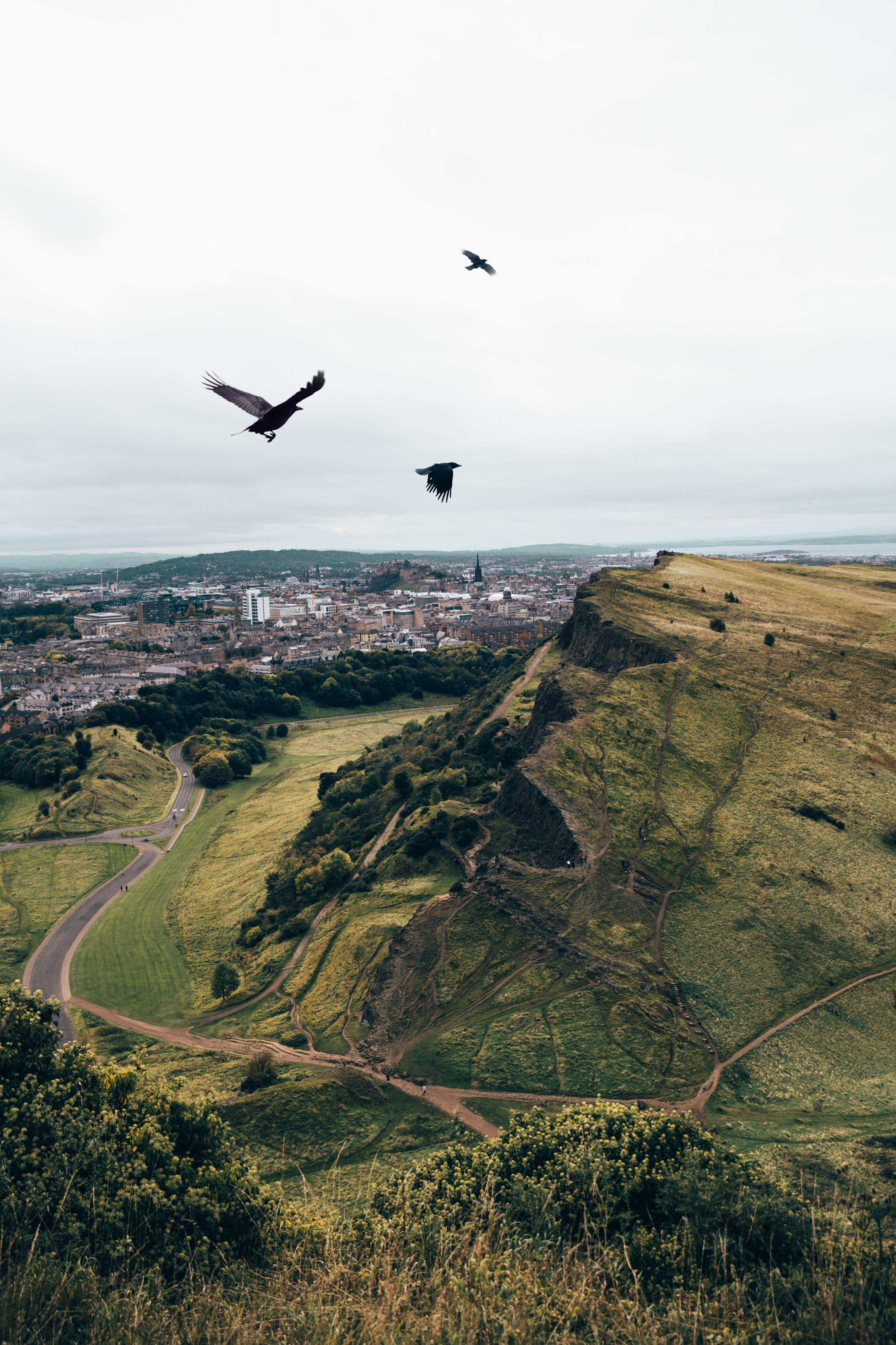 land, Backgrounds, scenics - nature, Flight, tranquility, flying, animals in the wild, hills, bird, plant, grass, sky, crows, non-urban scene, England, Phone HD Wallpaper
