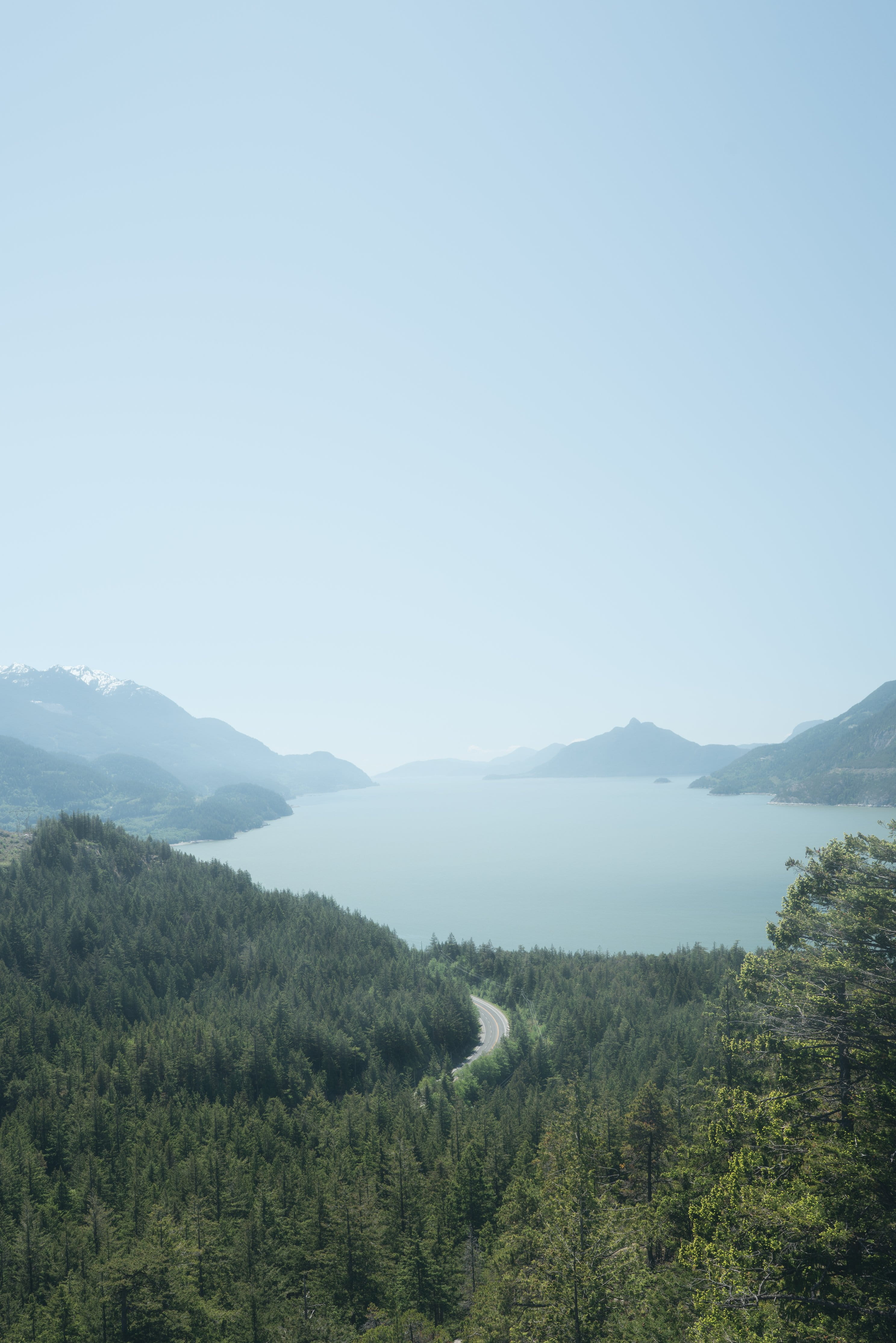 day, tree, green color, copy space, beauty in nature, environment, plant, Highway, non-urban scene, 4K, nature, scenics - nature, Road, mountain range, Phone HD Wallpaper