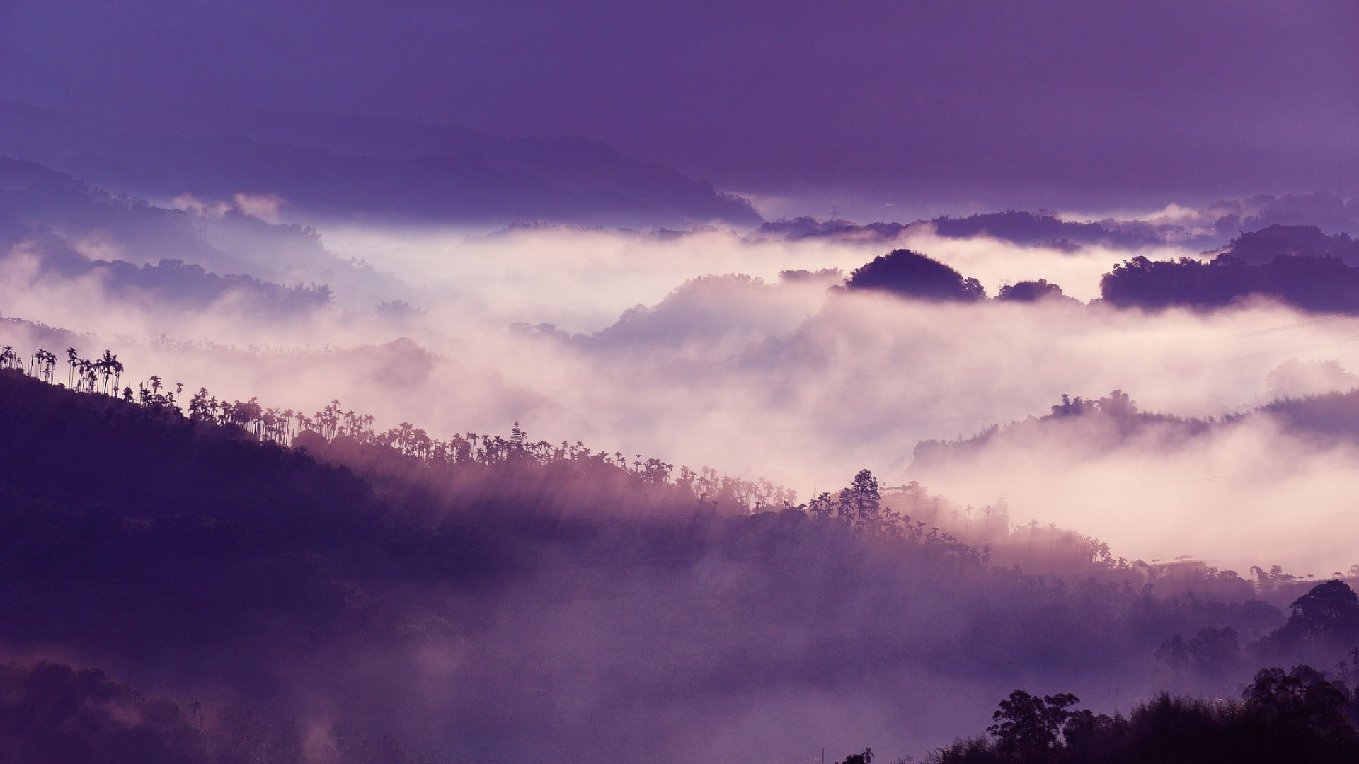 thailand, travel, mountain, asia, season, dawn, autumn, lights, beauty In Nature, mist, 1080P, sunlight, tranquility, tree, landscape, sunbeam, twilight, HD Wallpaper