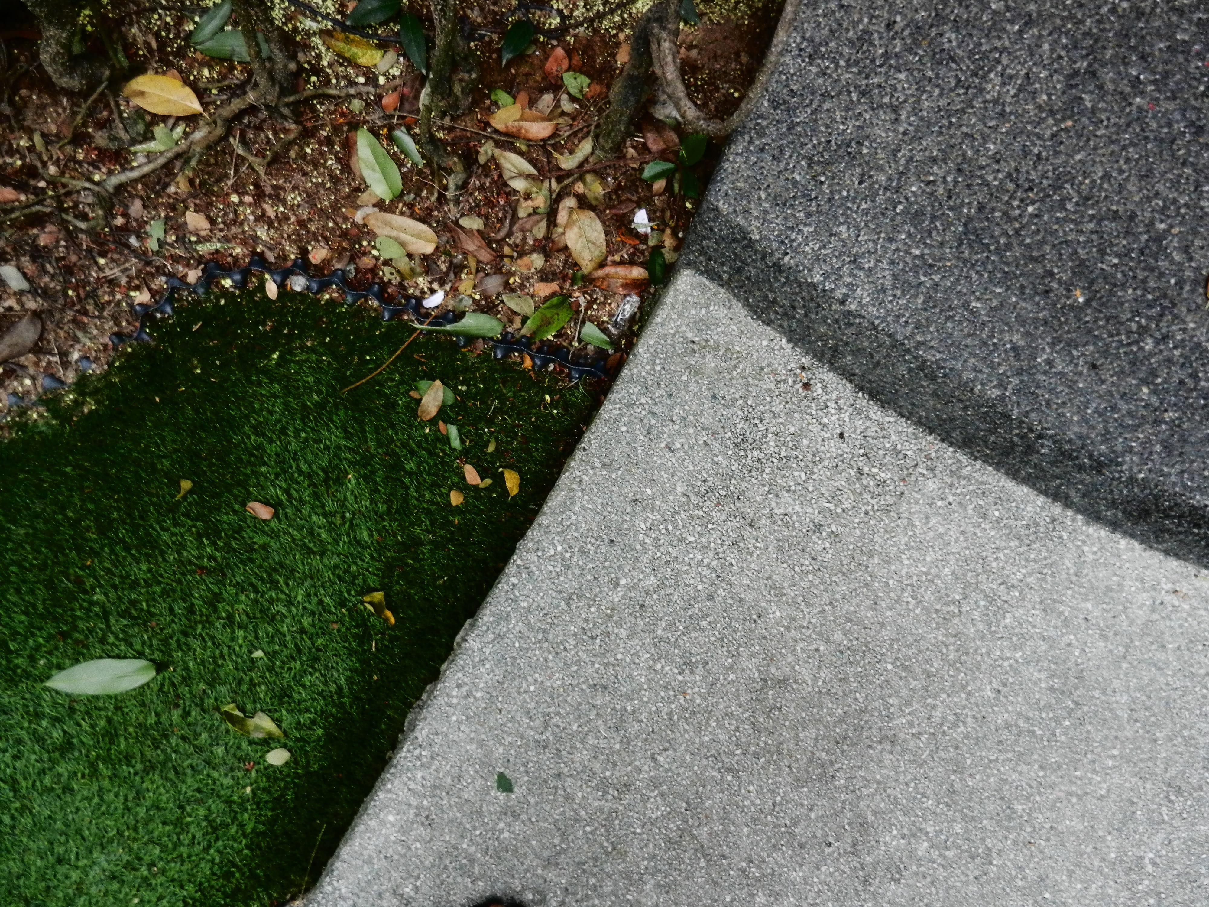 ground, nature, malaysia, steps, high angle view, 4K, outdoors, plant, falling, plant part, road, green color, street, autumn, footpath, batu ferringhi, HD Wallpaper