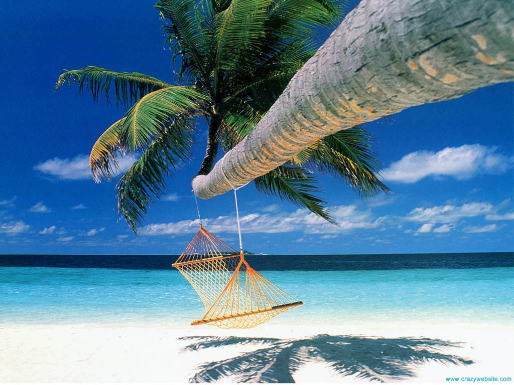 480P, cook Island, tropical Beach, tropical Island, beach, HD Wallpaper