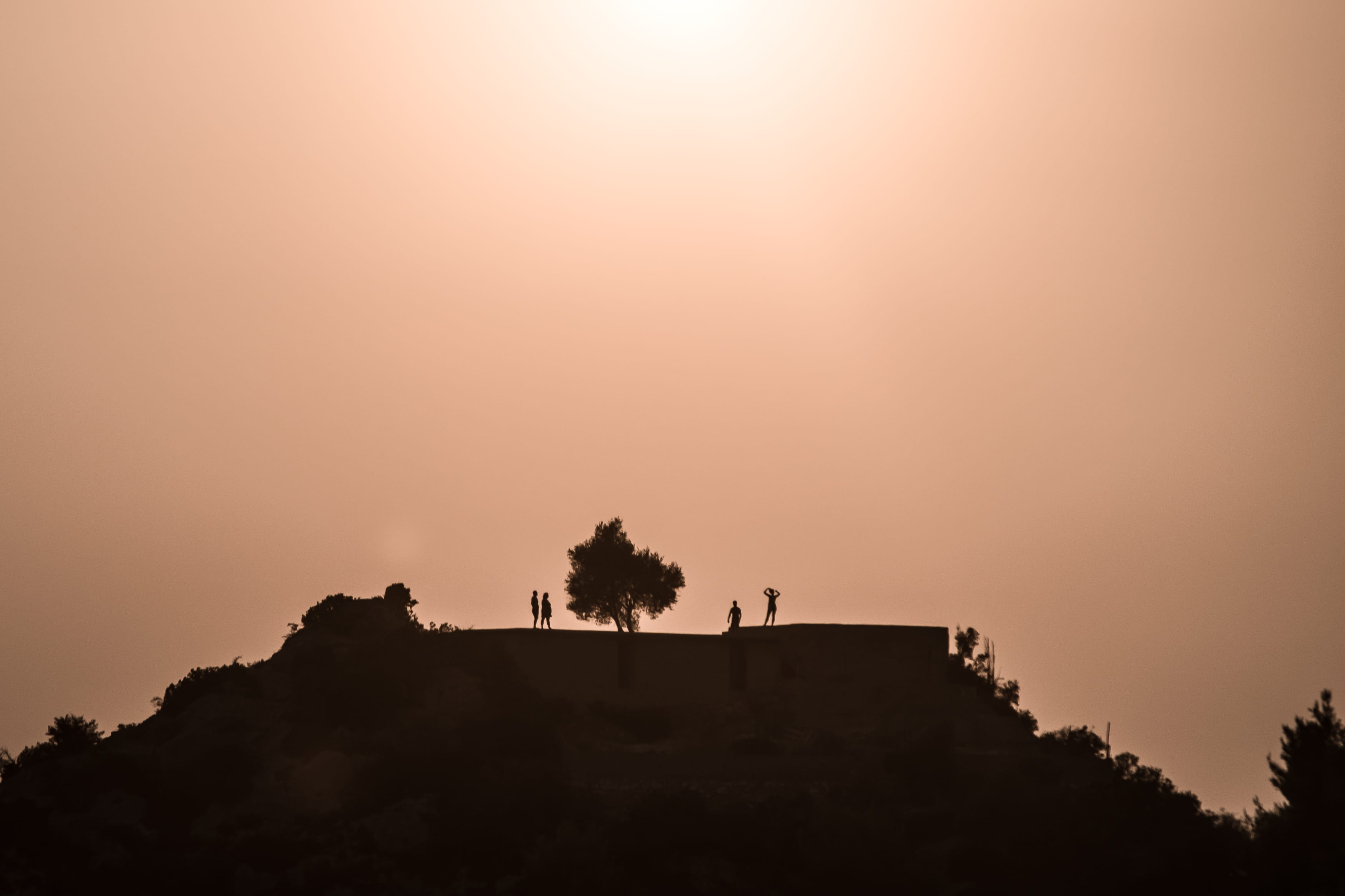 no people, outdoors, built structure, black, unsplash, orange, pine side camp, natural, architecture, outdoor, himarë, wanderlust, tree, himare, low angle view, HD Wallpaper