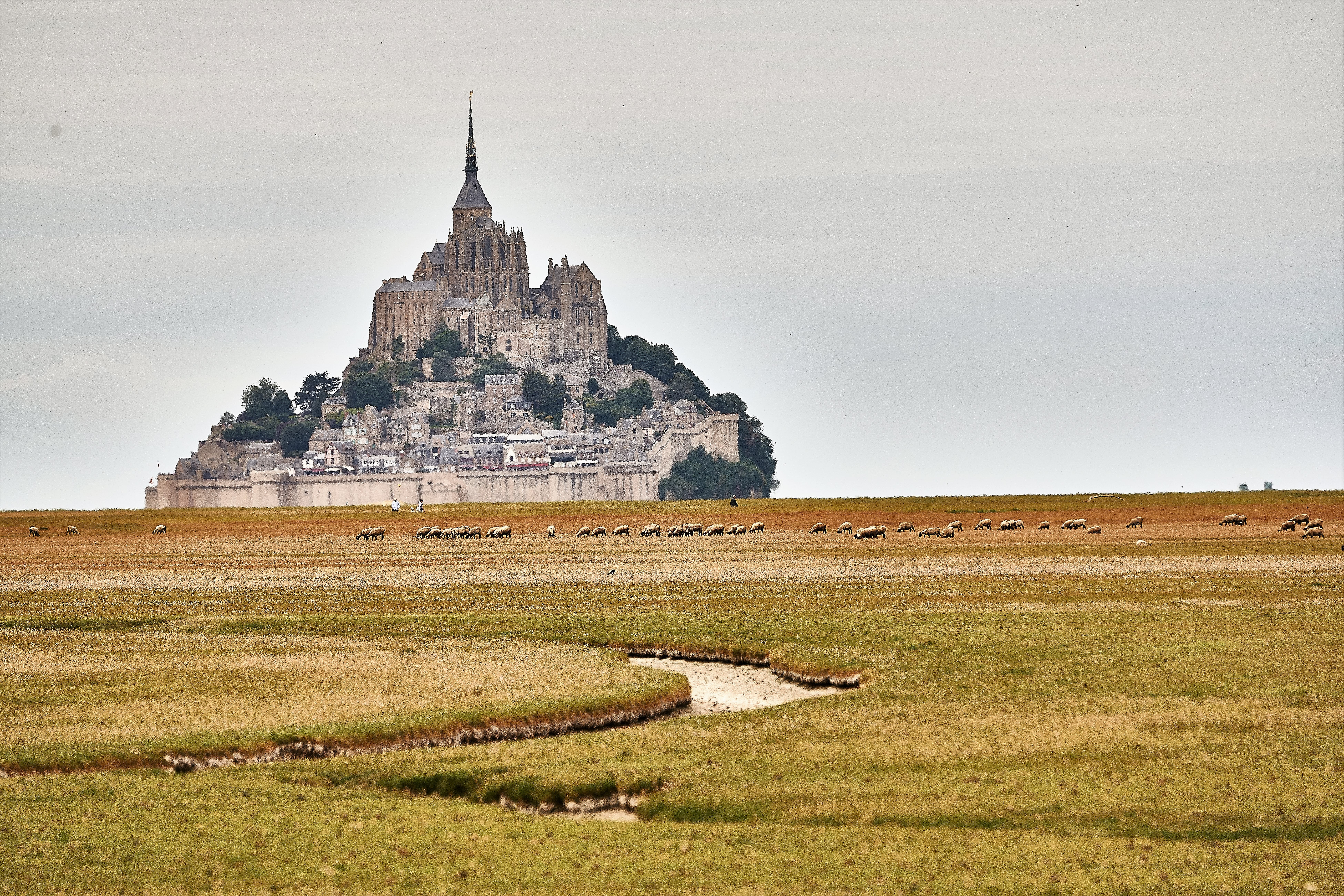 religion, nature, mont st michel, built structure, ancient civilization, architecture, place of worship, outdoors, ancient, 8K, building, travel, spirituality, HD Wallpaper