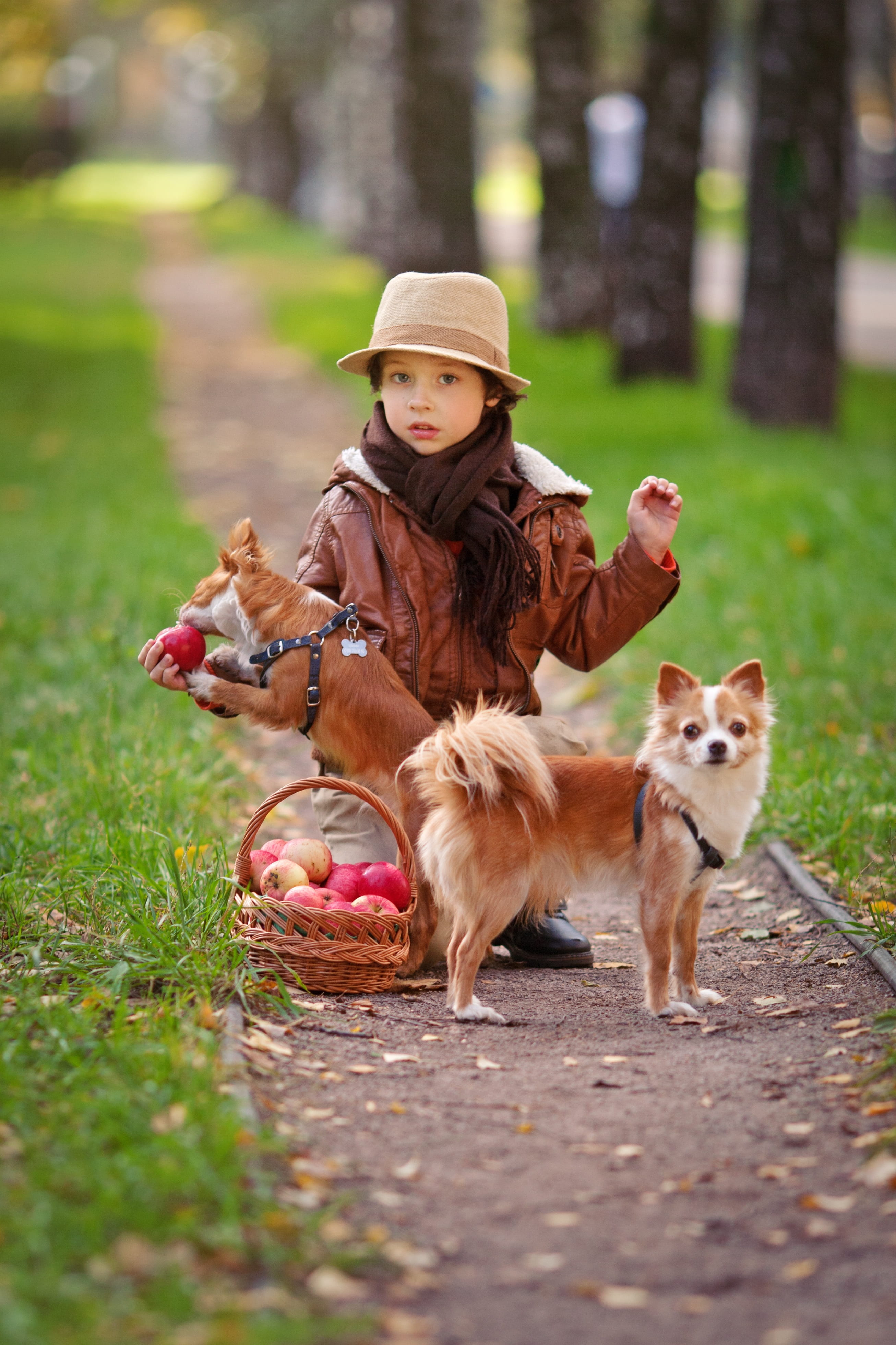 real people, plant, animal, hat, animals, domestic animals, grass, dogs, one person, kid, child, mammal, baby, leisure activity, domestic, clothing, land, Phone HD Wallpaper