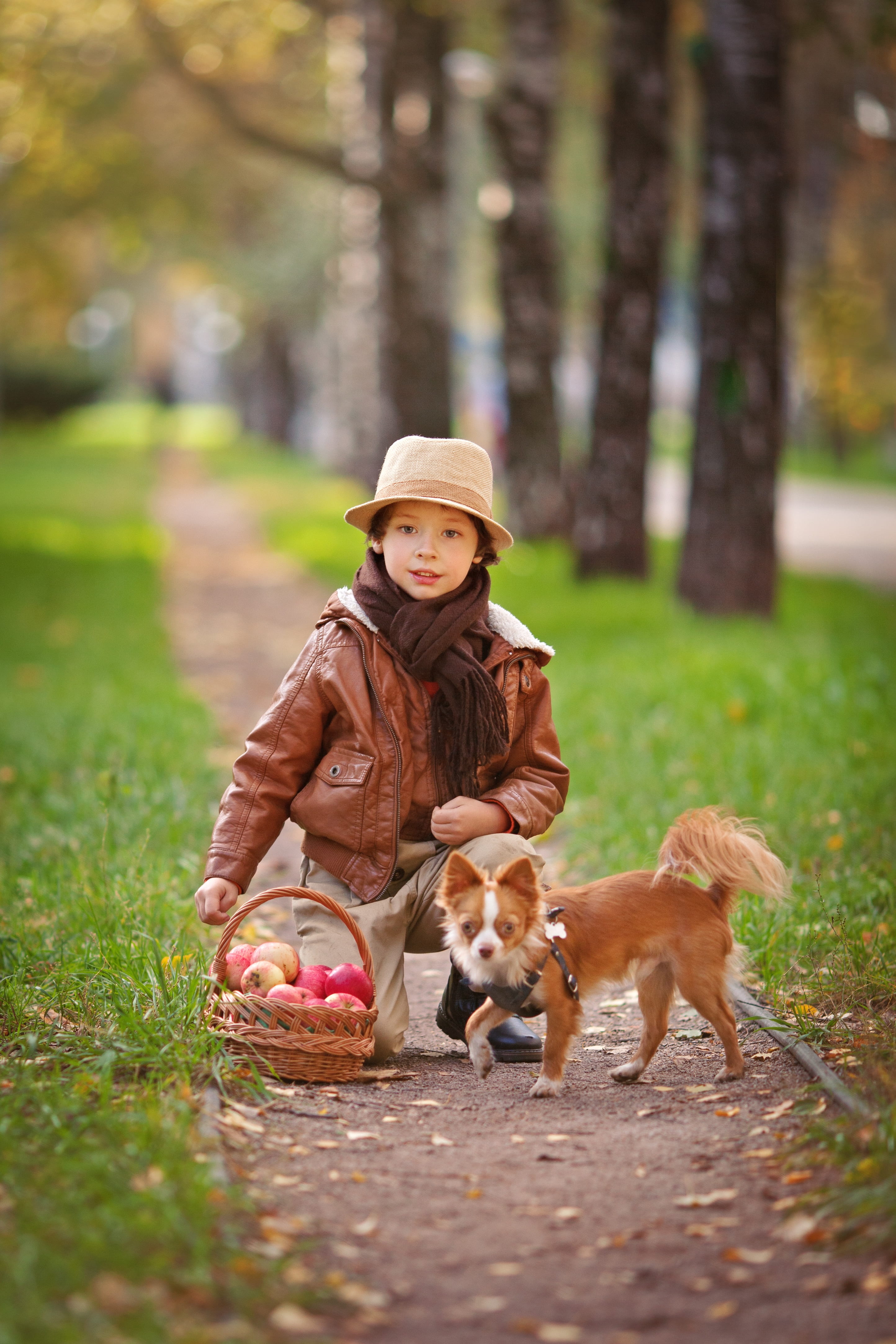 innocence, child, dogs, mans best friend, pet, boys, kids, park, boy, full length, one person, baby, kid, pets, devotion, grass, selective focus, a cute baby, Phone HD Wallpaper
