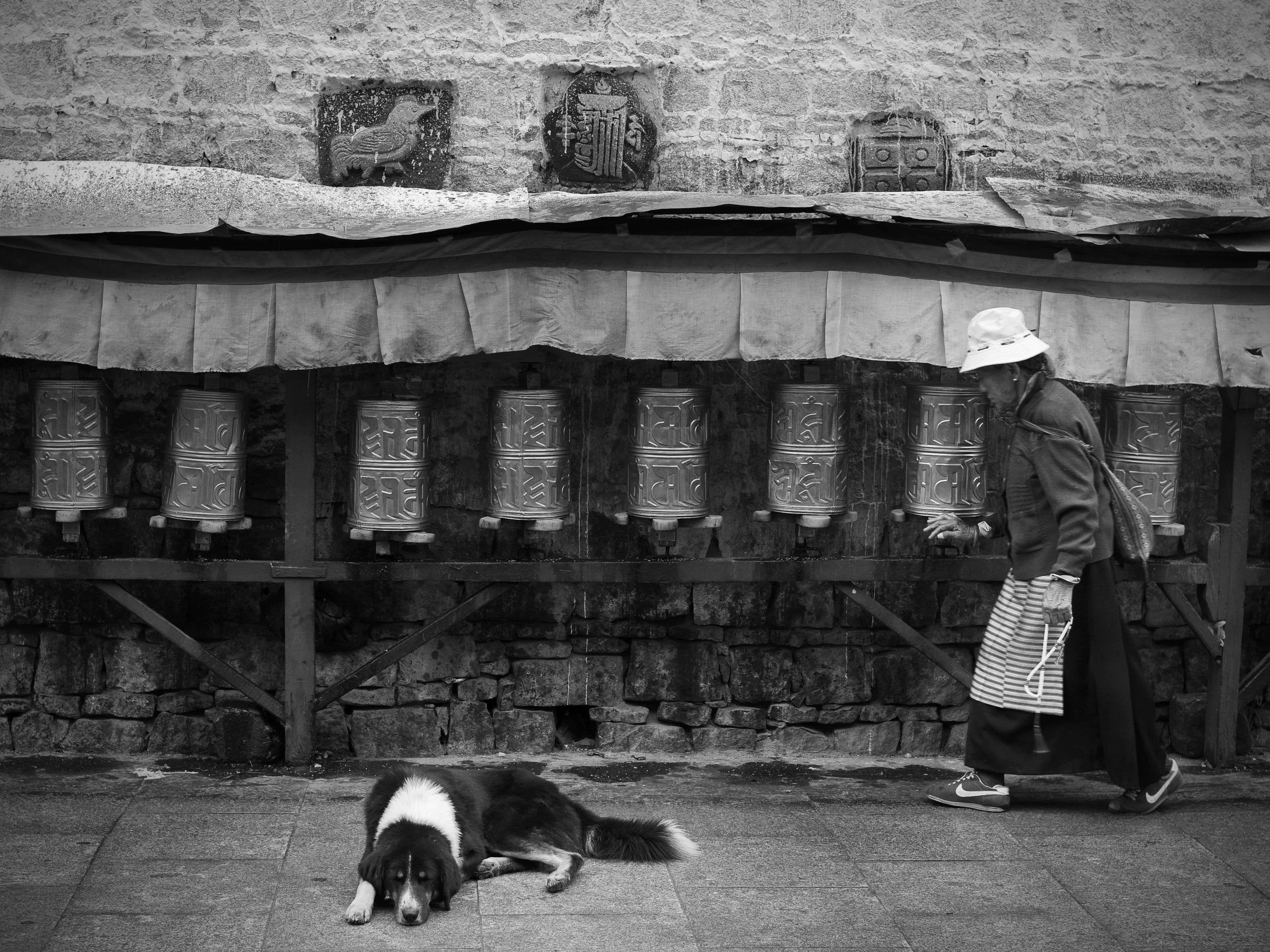 cultures, dog, prayer wheel, built structure, domestic, canine, people, architecture, real people, domestic animals, cat, one animal, day, building exterior, HD Wallpaper
