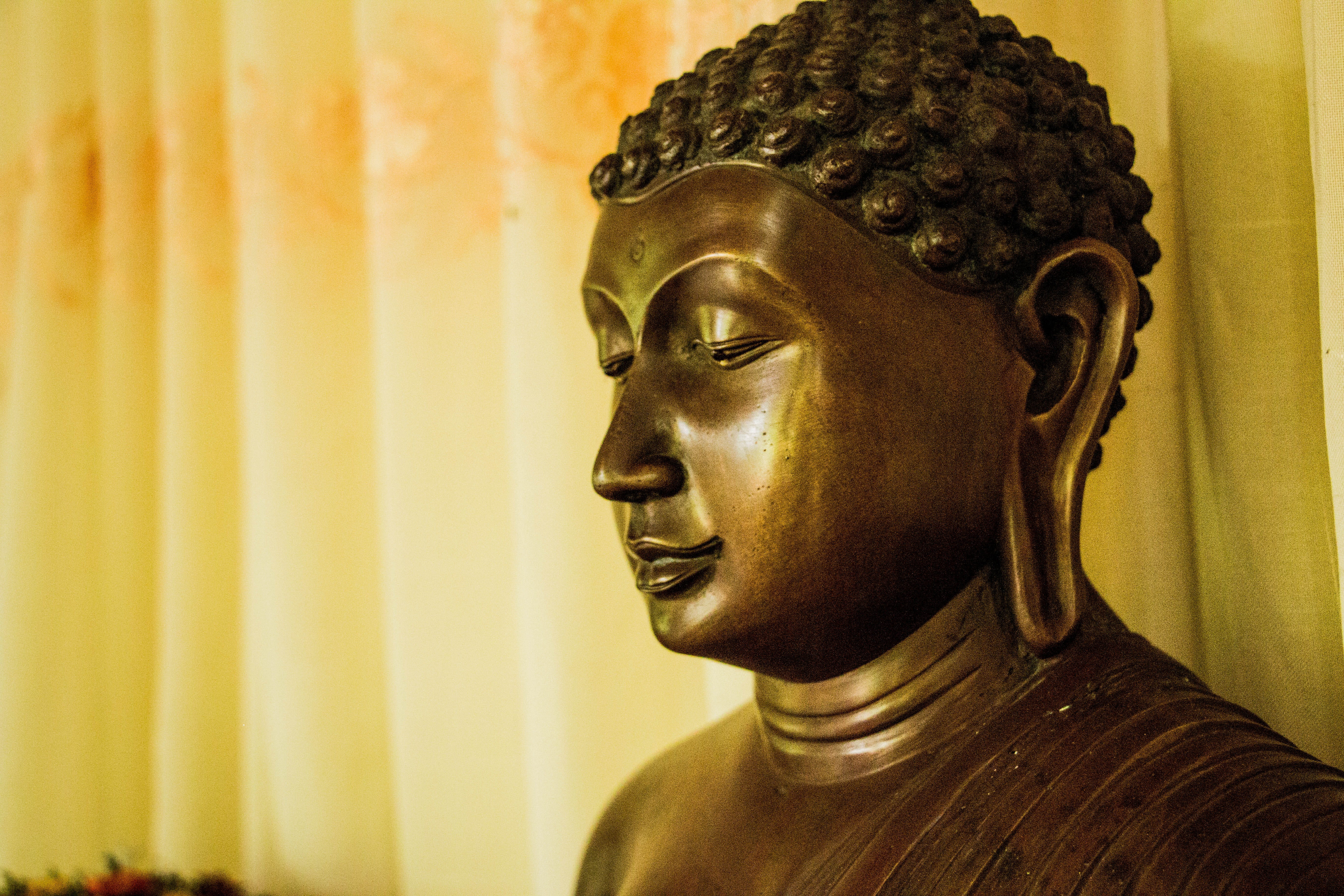 statue, belief, indoors, buddhism, human representation, spirituality, Mahamevnawa, asia, no people, temple - Building, Buddha, gold colored, sculpture, HD Wallpaper