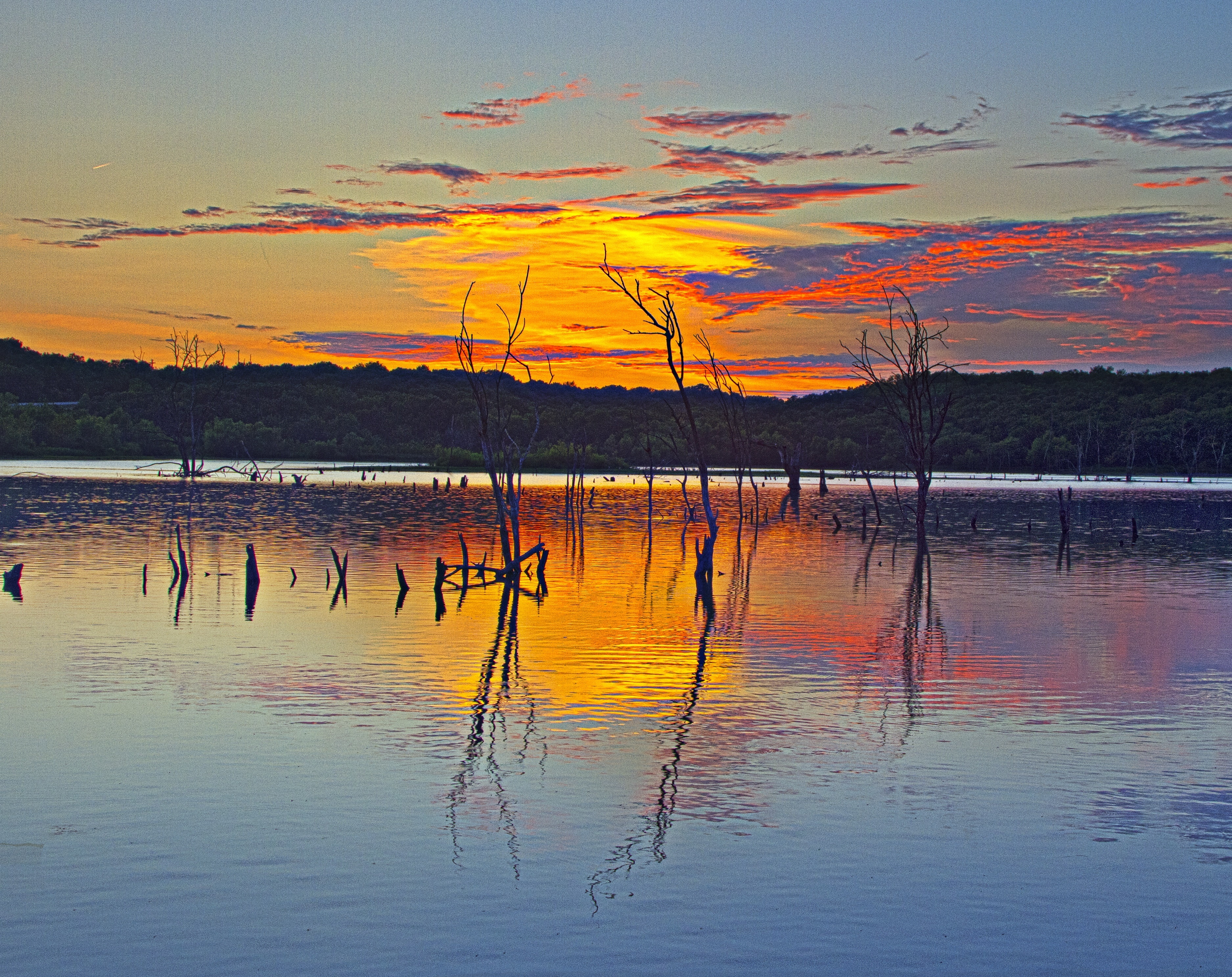Kansas, Landscape, Sunset, trees, Lake, Nature, Reflection, Scenery, Travel, United States, Lawrence, Tree, clinton, Clinton Lake, bare tree, Scene, bare, HD Wallpaper