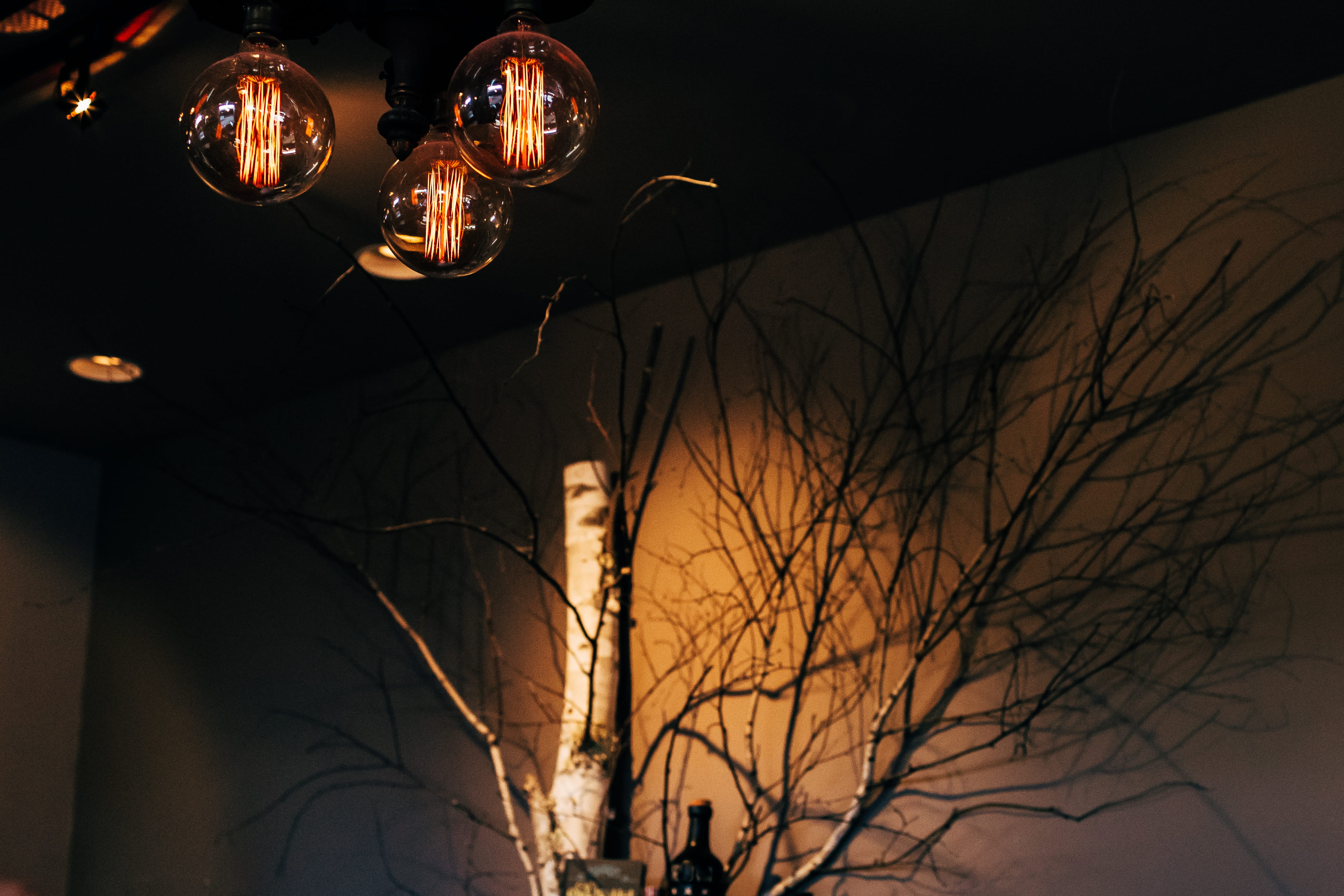 lantern, 4K, coat, electricity, light fixture, outdoors, tree, apparel, hanging, light, decoration, lighting, room, lamp, low angle view, plant, flare, HD Wallpaper