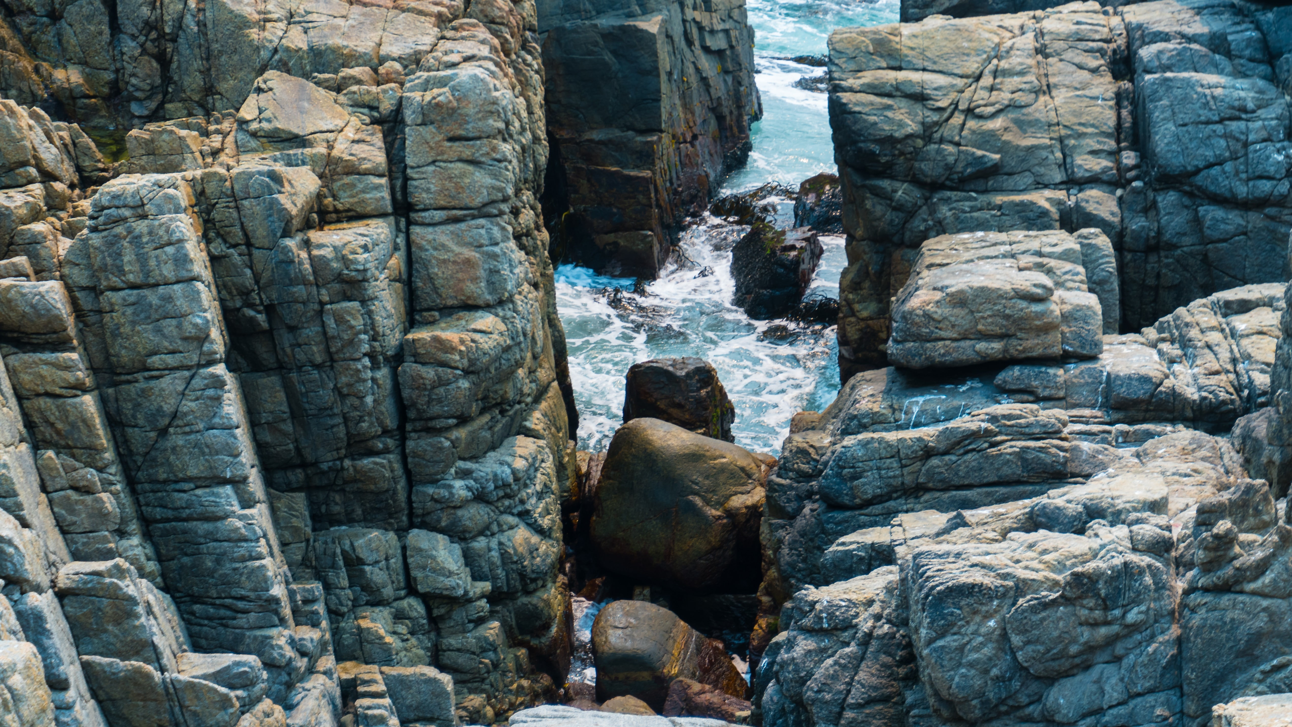 animals in the wild, mammal, animal, marine, rock, underwater, stone, Chile, rock formation, 4K, vertebrate, rock - object, nature, animal themes, one animal, HD Wallpaper