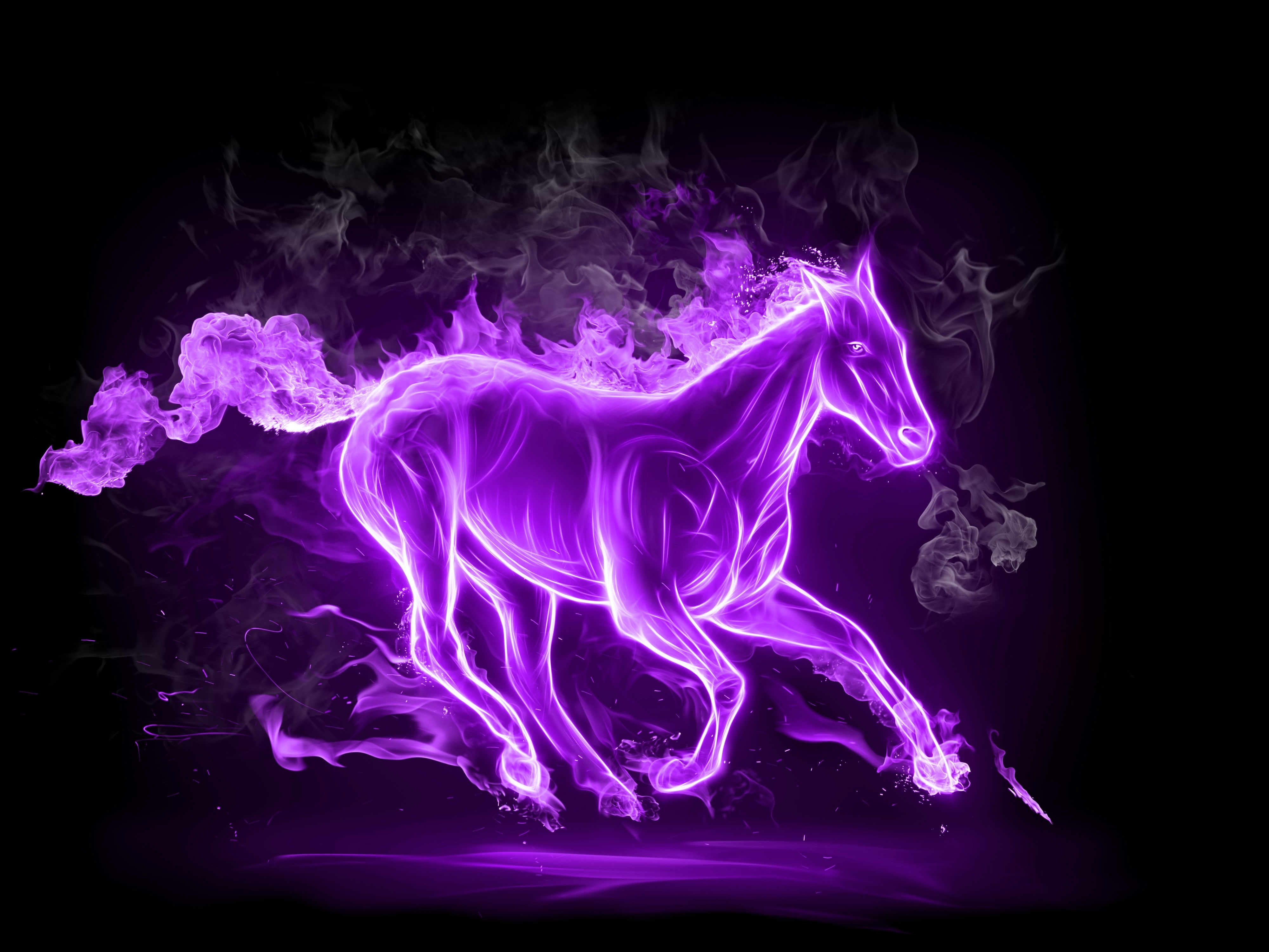 art, violet, artwork, 4K, x, hd, animals, horses, Abstract, HD Wallpaper