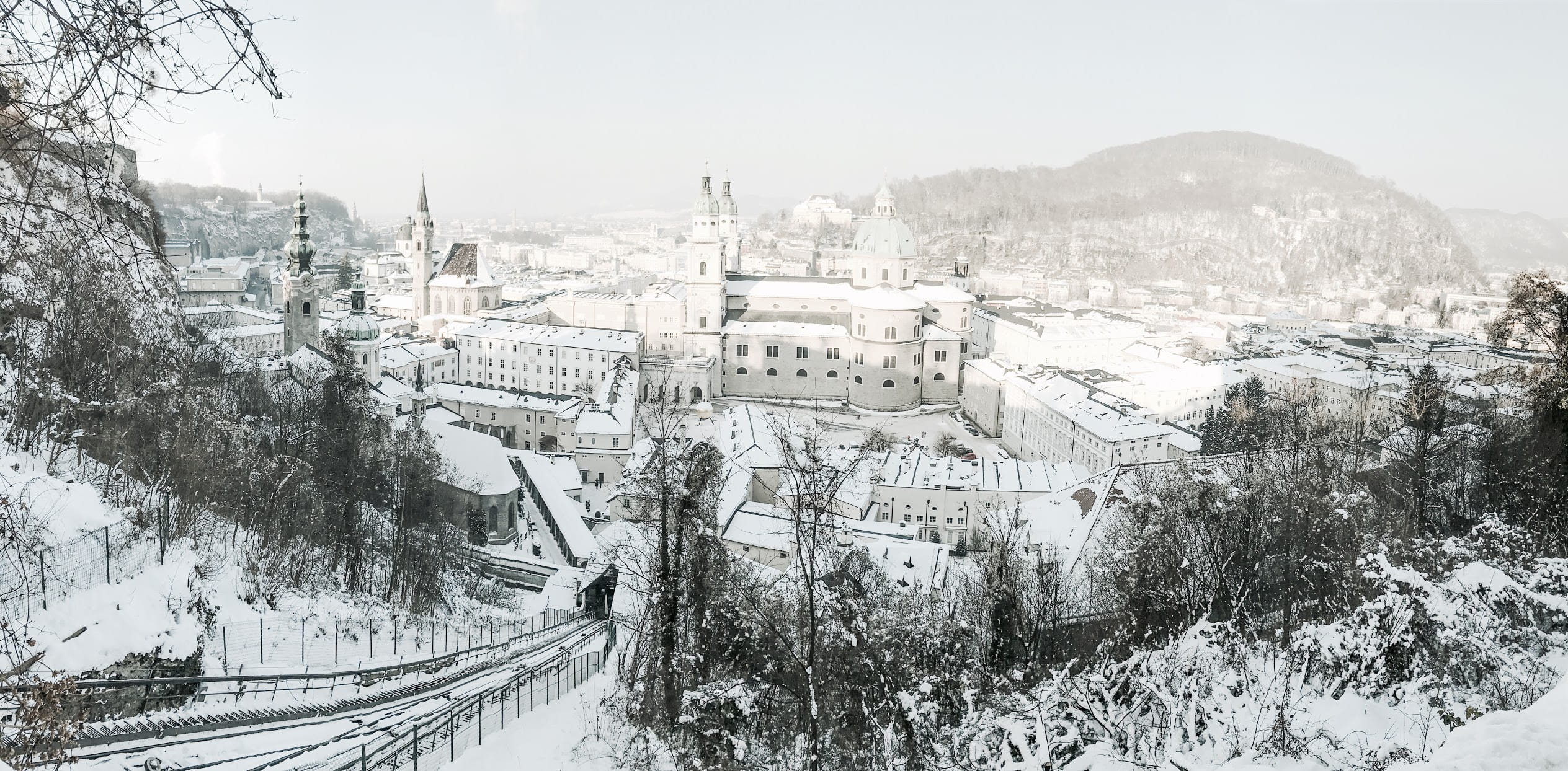 plant, extreme weather, church, nature, mozart, outdoors, 1080P, city, architecture, day, tree, trees, travel, whitecity, cityscape, building exterior, HD Wallpaper