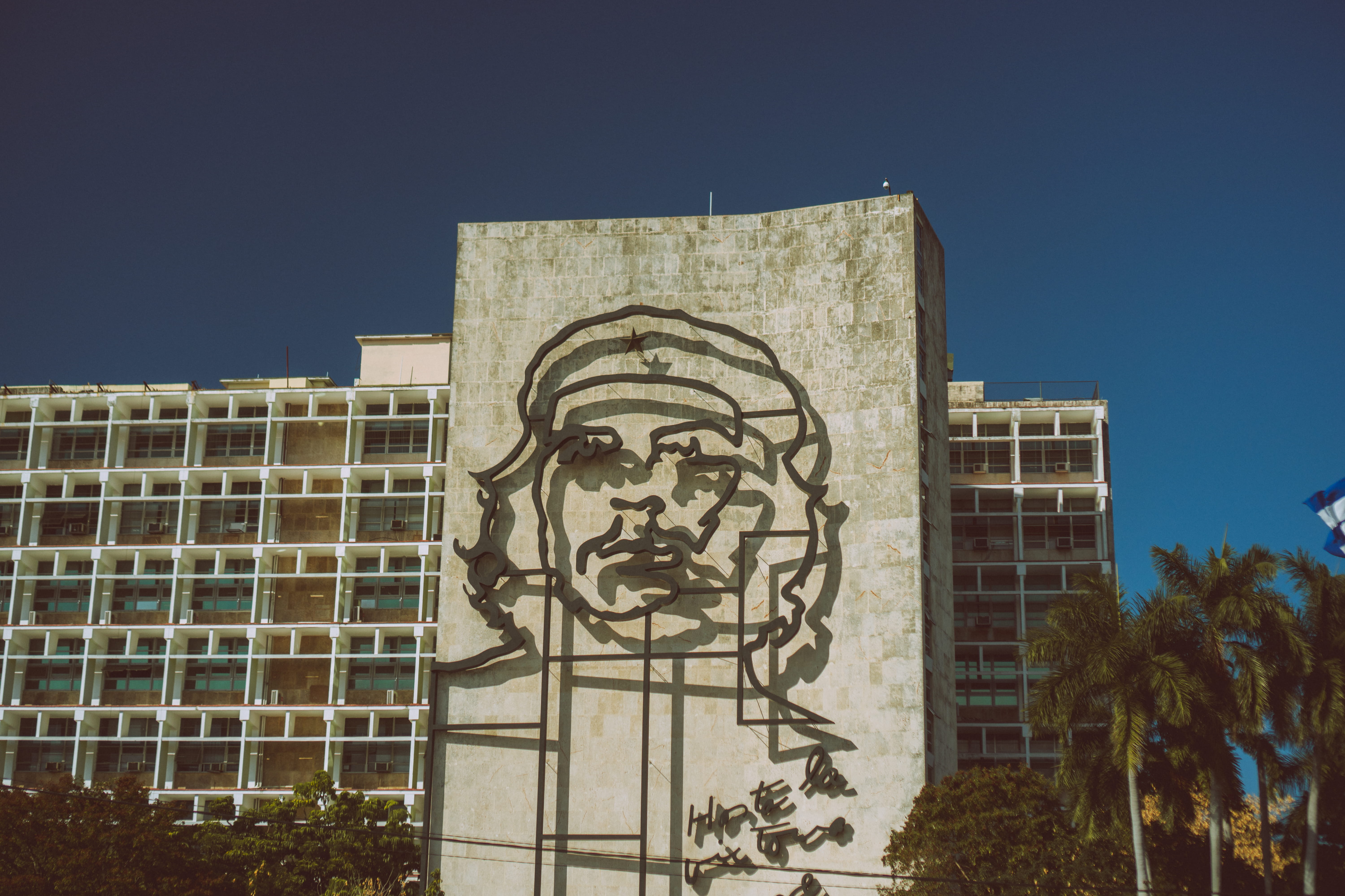 billboard, building exterior, 5K, signage, sunlight, creativity, building, built structure, low angle view, plant, wall, graffiti, home decor, art and craft, HD Wallpaper