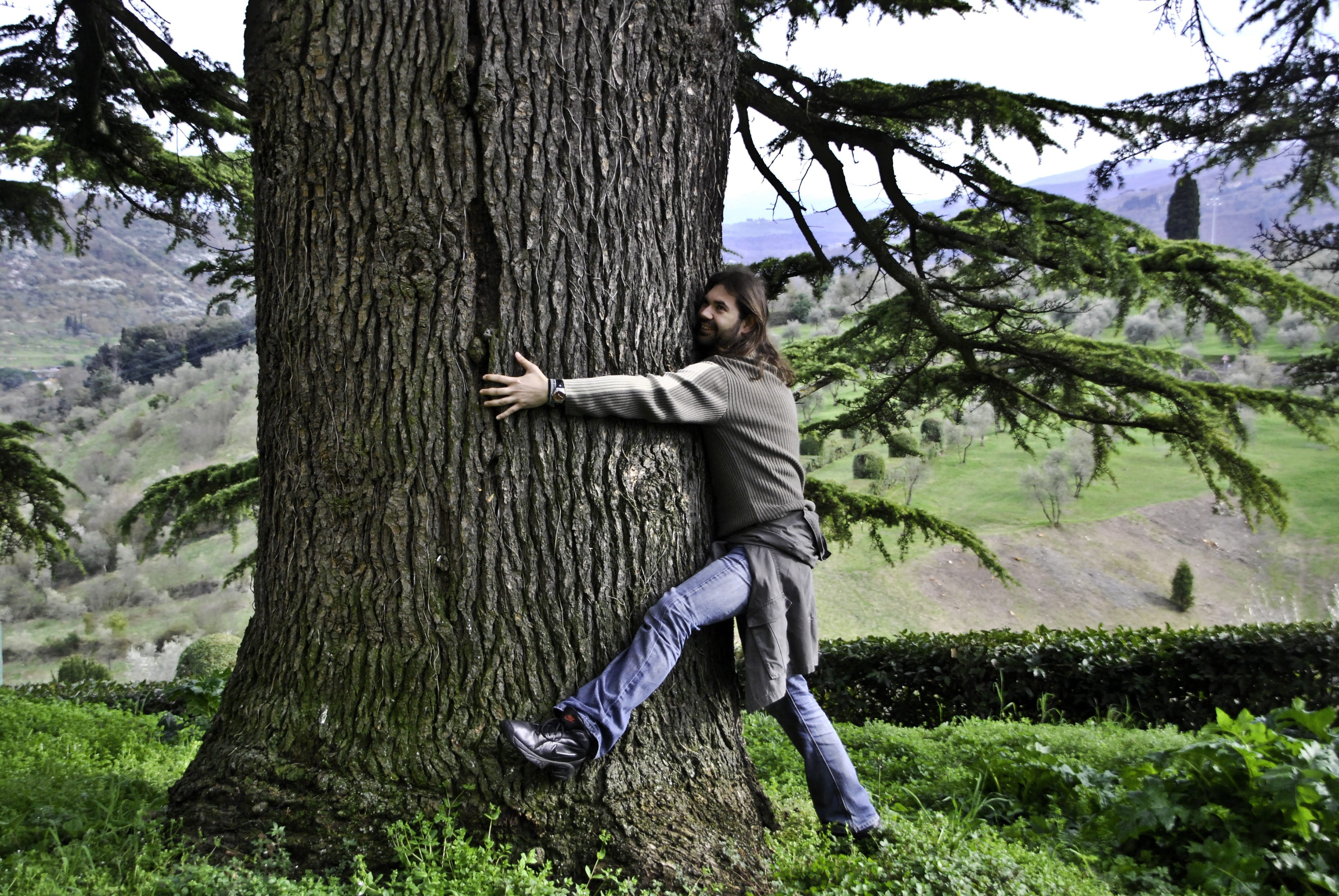 one man only, land, tree, one person, Tall, beauty in nature, real people, Hugging, human arm, nature, leisure activity, young adult, day, happy, tree trunk, HD Wallpaper