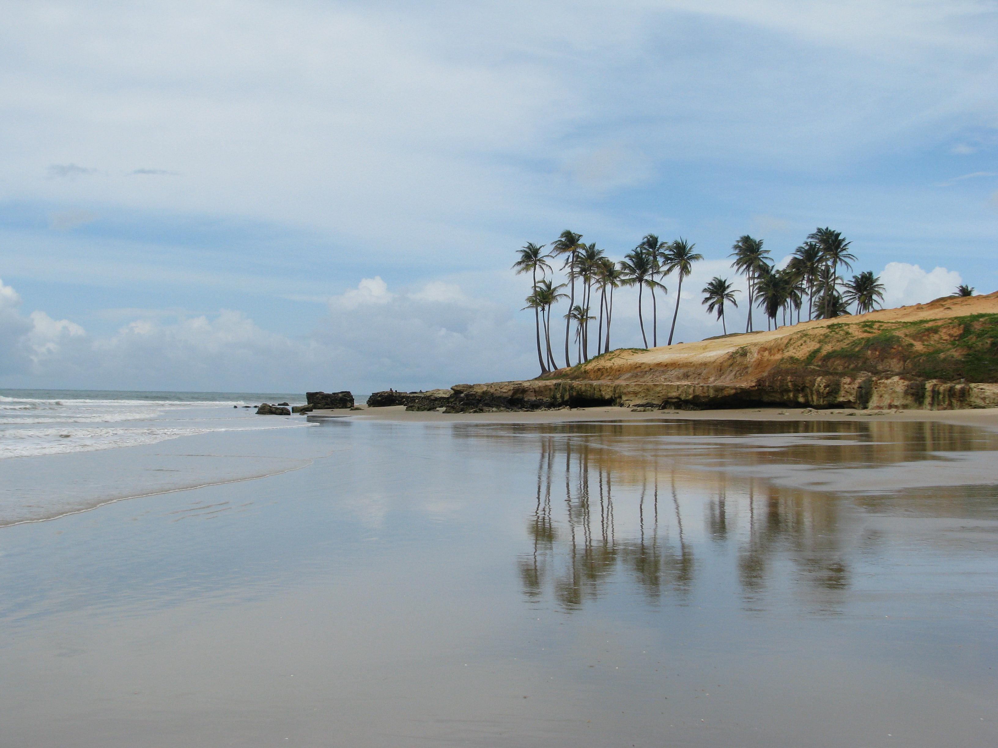 2K, trees, water, plant, tropical climate, reflection, landscape, tree, beach, palm tree, clouds, beauty in nature, day, coconut, sea, palm, ocean, lake, HD Wallpaper