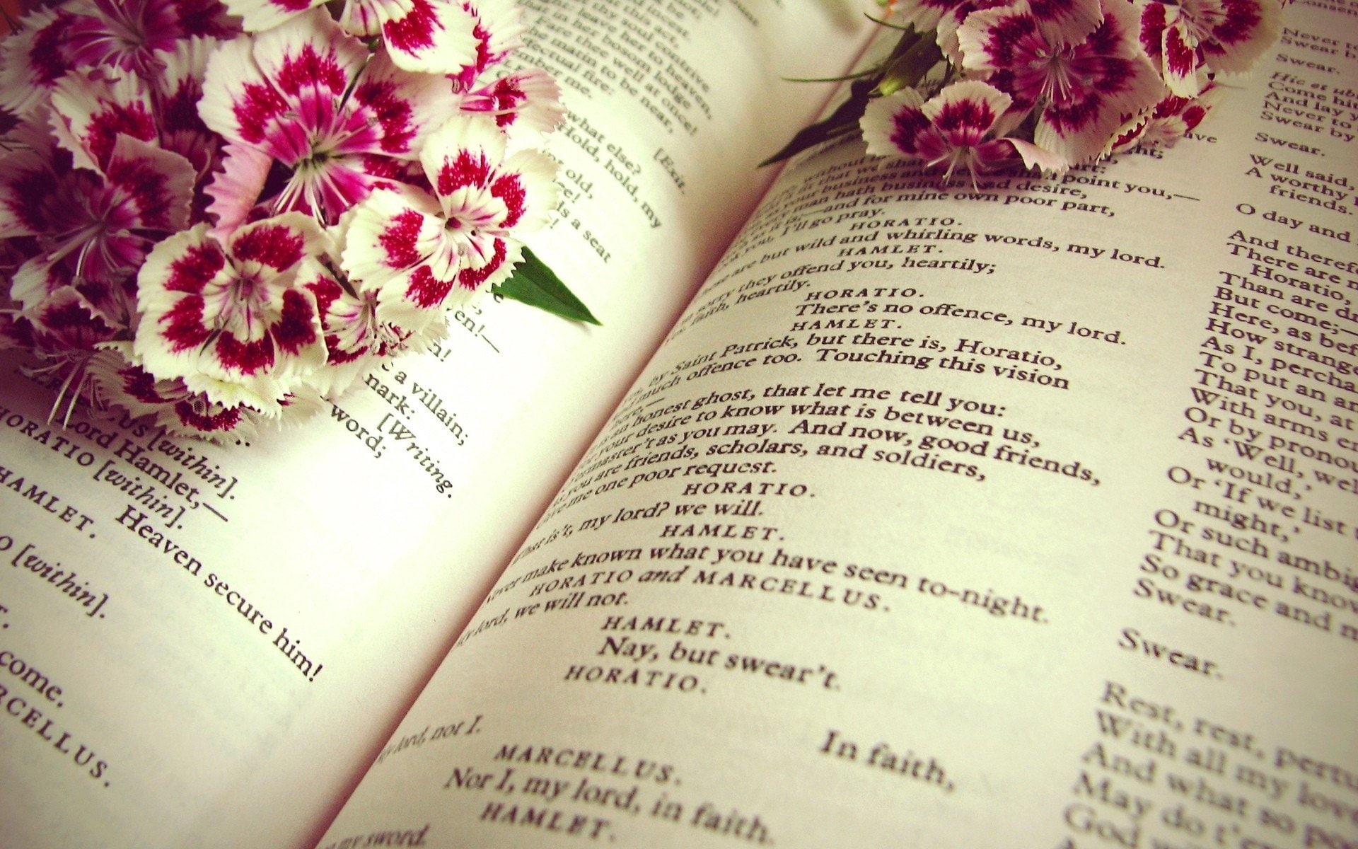 Shakespeare, flower arrangement, freshness, nature, beauty in nature, no people, education, Book, Flower, paper, page, fragility, communication, open, high angle view, HD Wallpaper