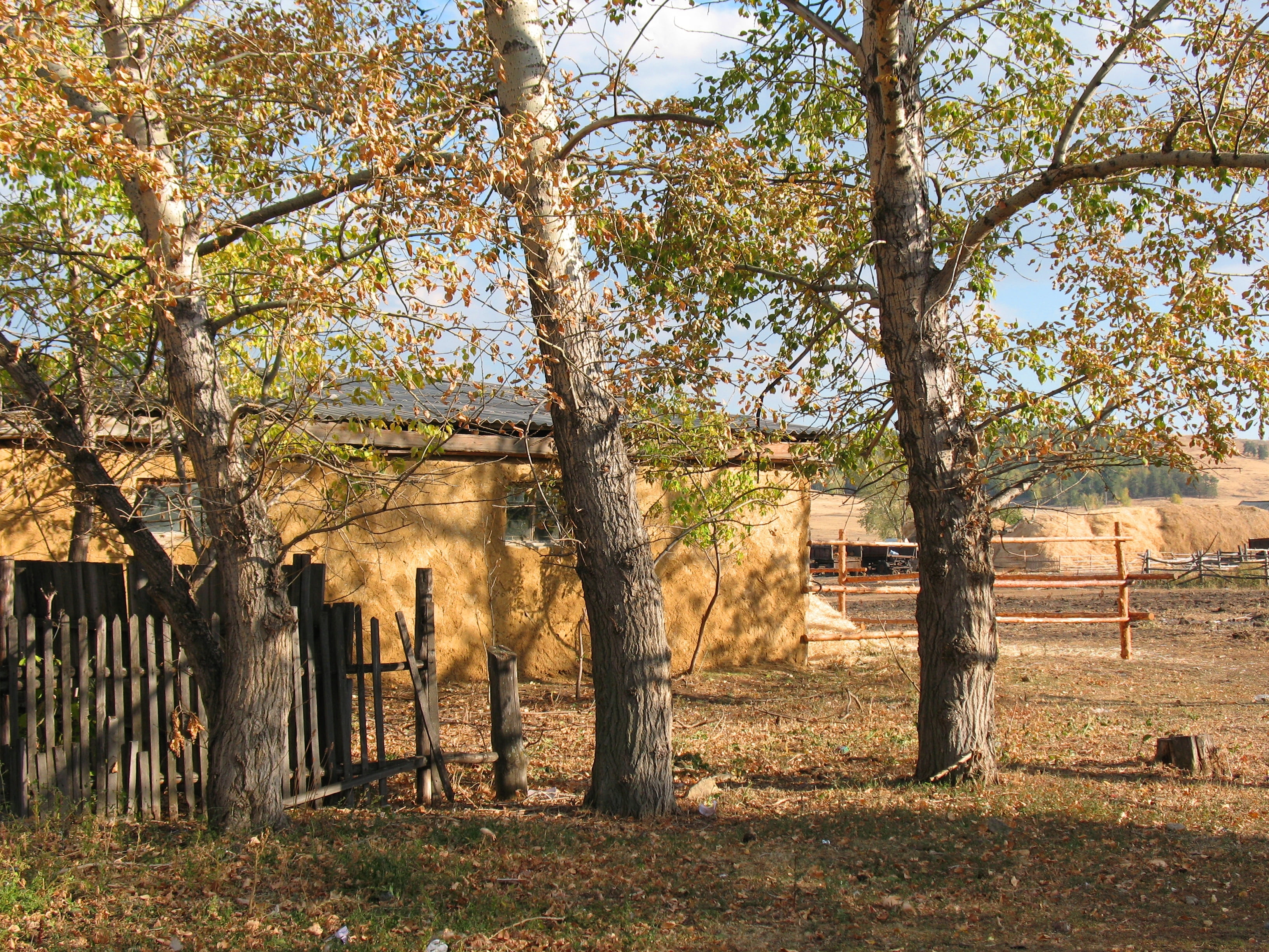 building Exterior, boundary, sunlight, farm, kazakhstan, landscape, scenics, no People, uSA, non-Urban Scene, fence, field, architecture, outdoors, fall, HD Wallpaper