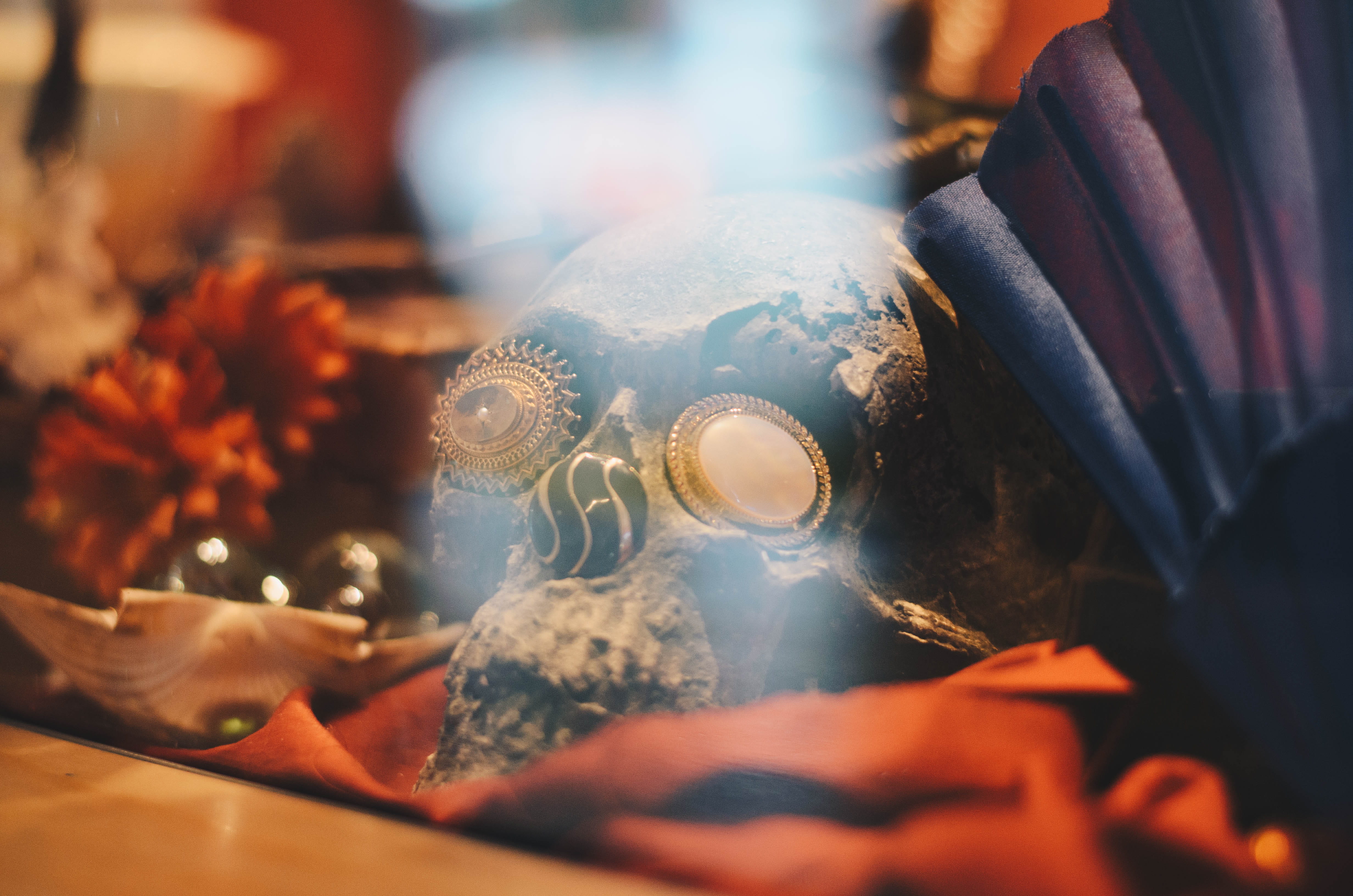skull, human skeleton, focus on foreground, display, representation, human representation, indoors, hamlet, funny, skeleton, close-up, selective focus, HD Wallpaper