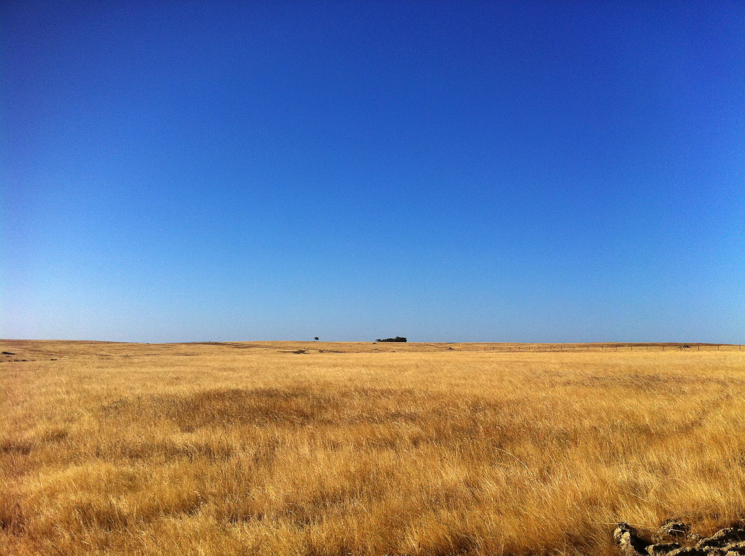 meadow, Alentejo, 2K, agriculture, nature, day, Portugal, desertification, landscape, no People, tranquility, blue, land, summer, environment, horizon Over Land, HD Wallpaper