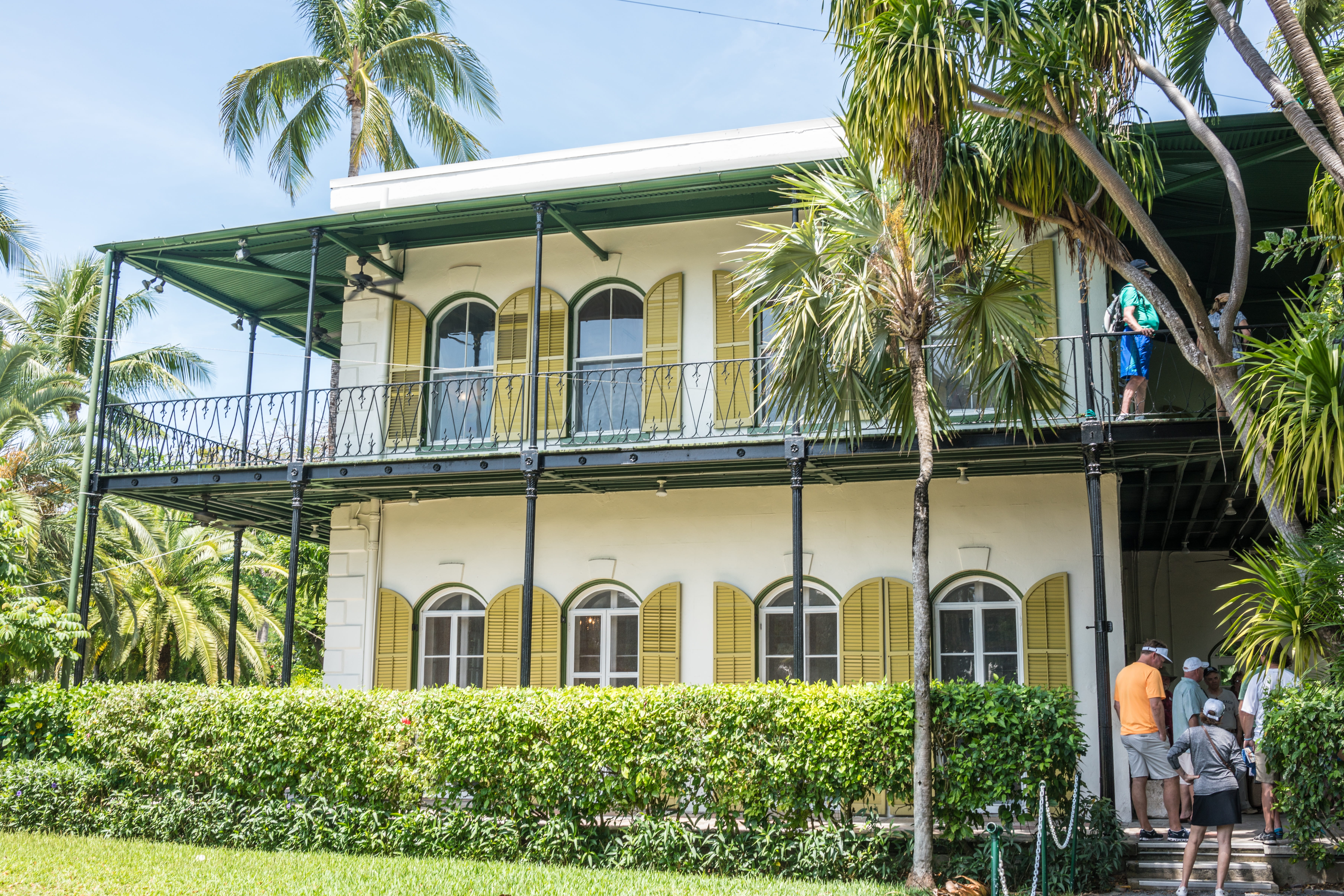 men, sunlight, vacation, hemingway house, florida, building exterior, key west, holiday, tree, real people, built structure, outdoors, people, tourism, HD Wallpaper