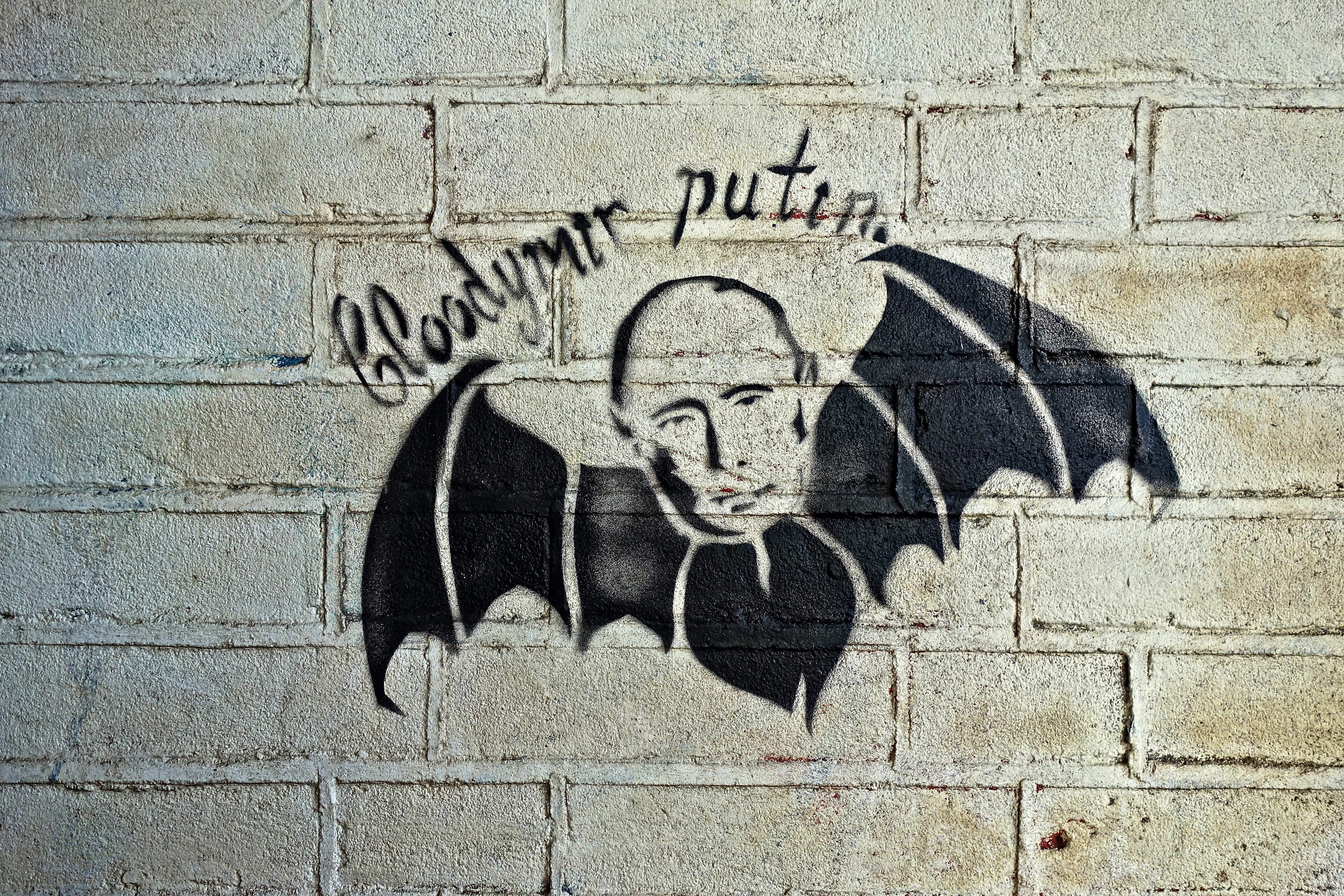 animal representation, wall, building exterior, satire, vladimir, communication, political, bat, craft, text, sunlight, cartoon, street art, art and craft, HD Wallpaper