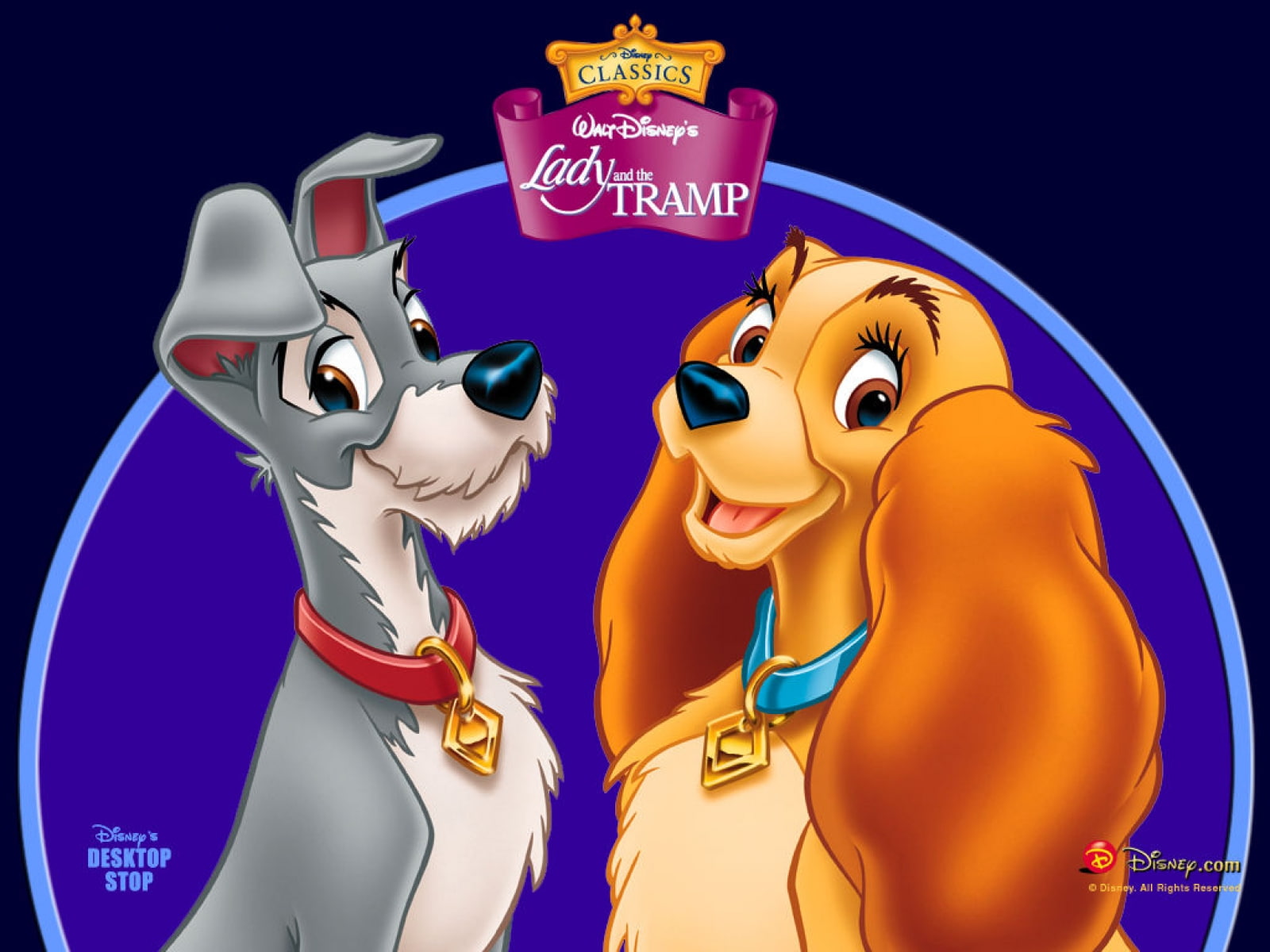 720P, tramp, lady, disney, poster, HD Wallpaper