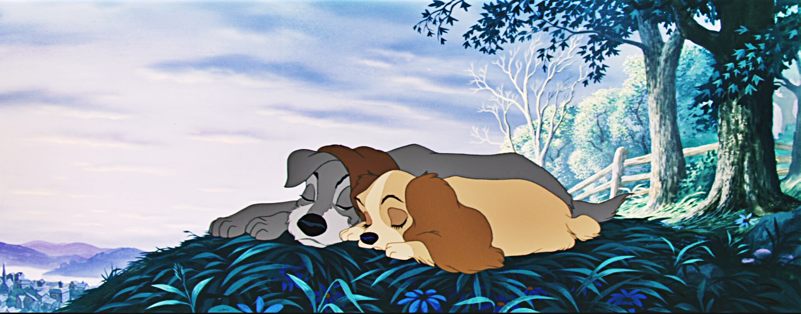 mood, tramp, 2K, lady, disney, HD Wallpaper
