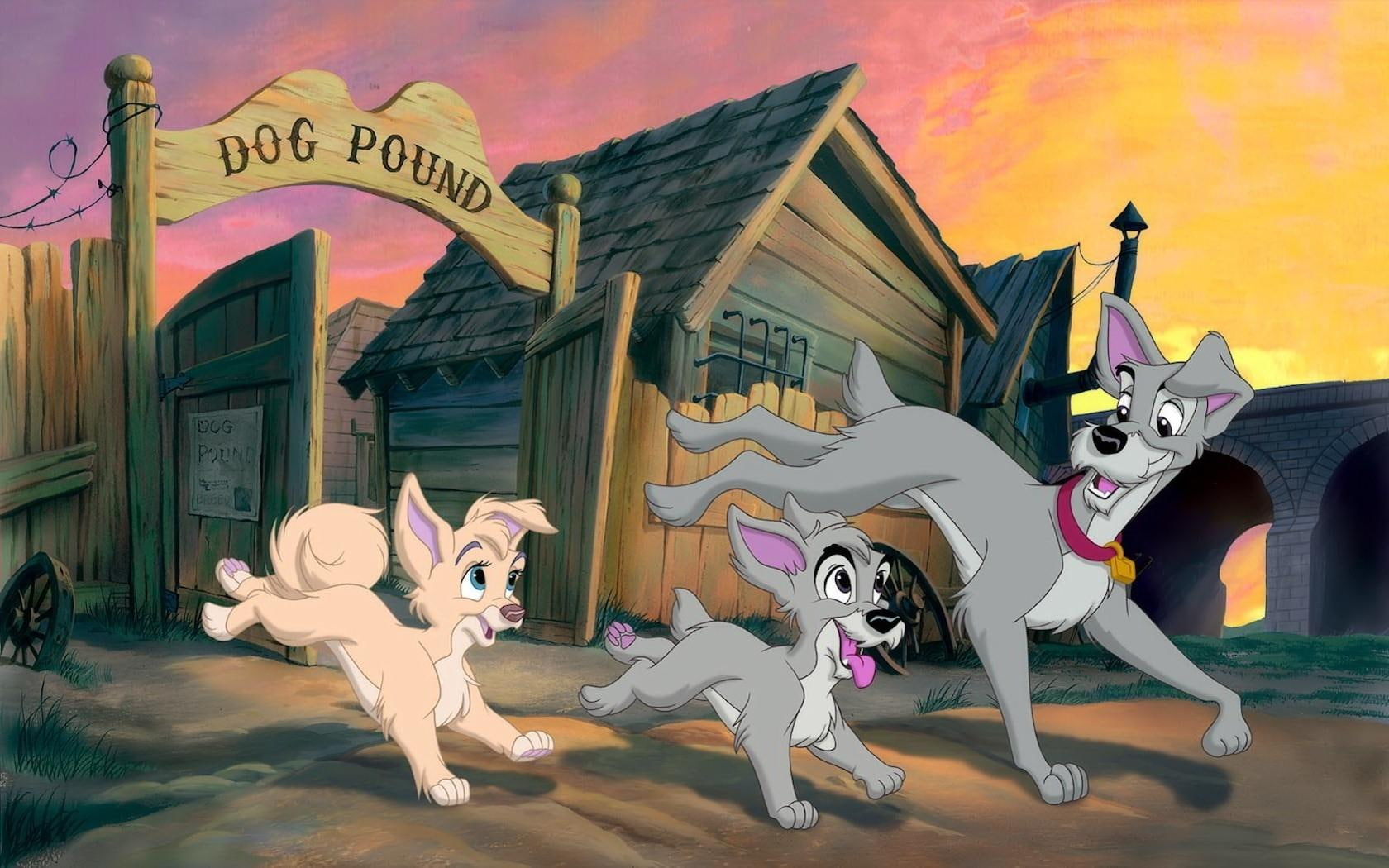disney, lady, tramp, 720P, HD Wallpaper