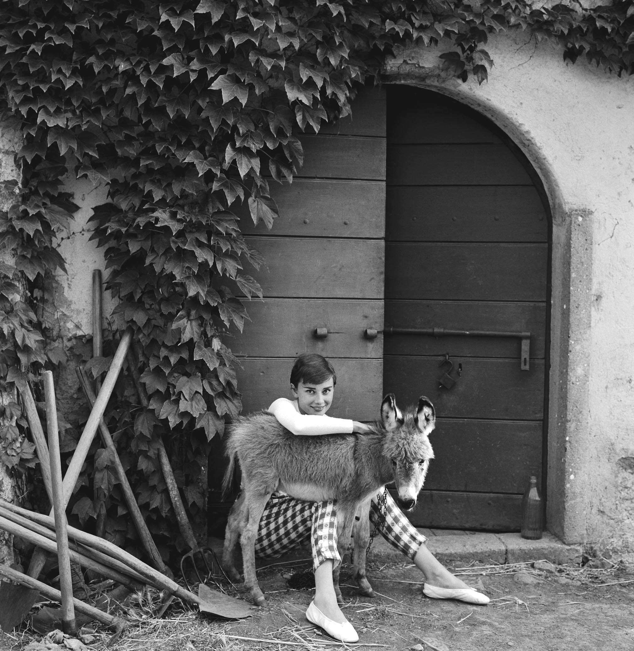 grayscale, audrey, 1080P, hepburn, animals, monochrome, Phone HD Wallpaper