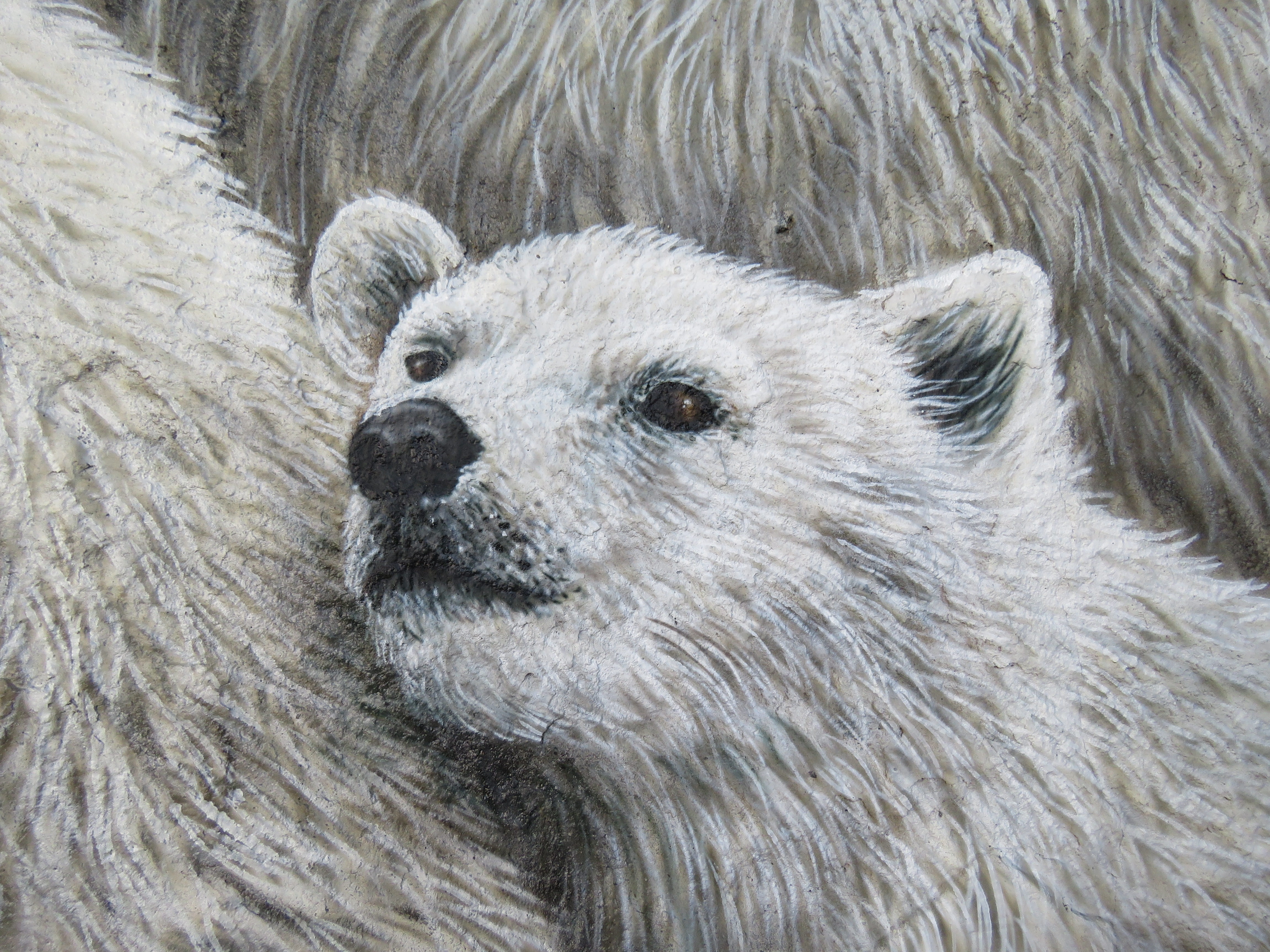 wall art, animal park berlin, wildlife photography, animal hair, beautify, animal themes, capital, paint, winter, outdoors, vertebrate, animals in the wild, HD Wallpaper