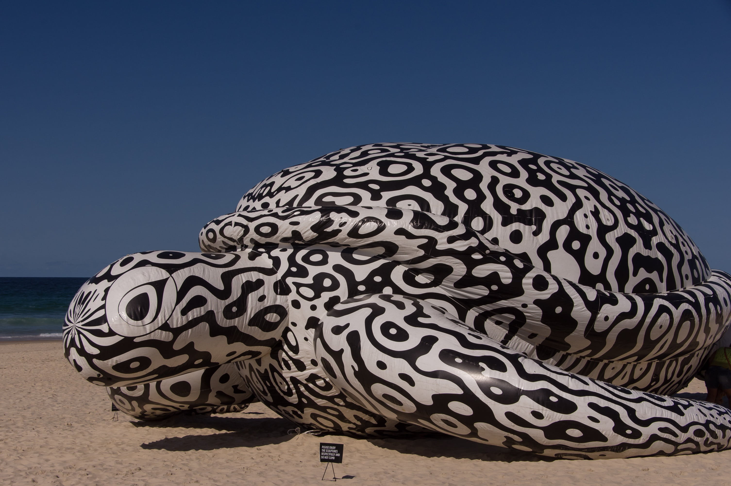 giant, nature, inflatable, sand, scenics - nature, sky, craft, pattern, blue sky, design, art and craft, animal, outdoors, beach, 2K, australia, black and white, HD Wallpaper
