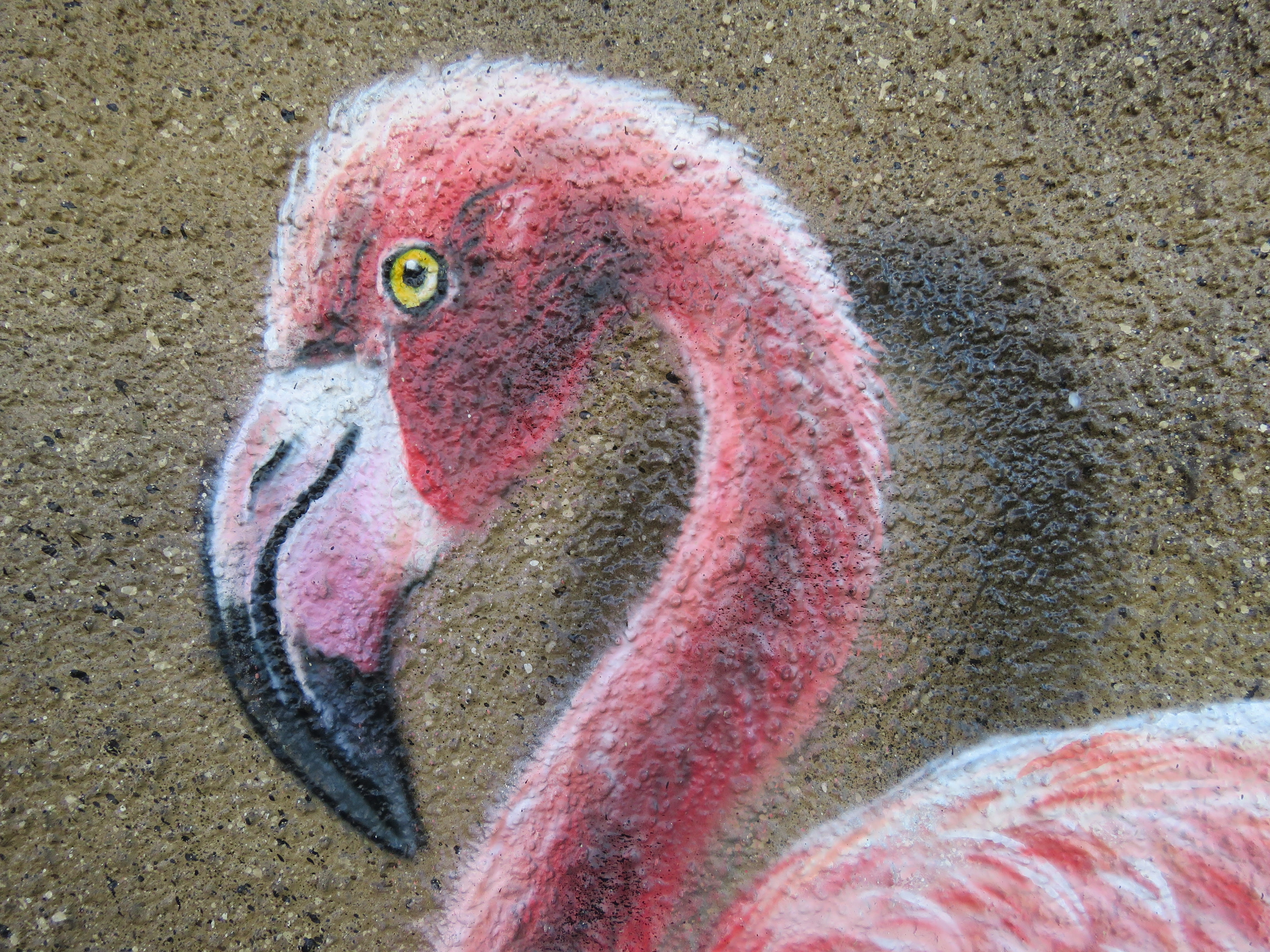 vertebrate, painting, animal themes, bird, mural, germany, drawing, day, animal body part, beak, zoology, one animal, draw, land, close-up, animal neck, HD Wallpaper