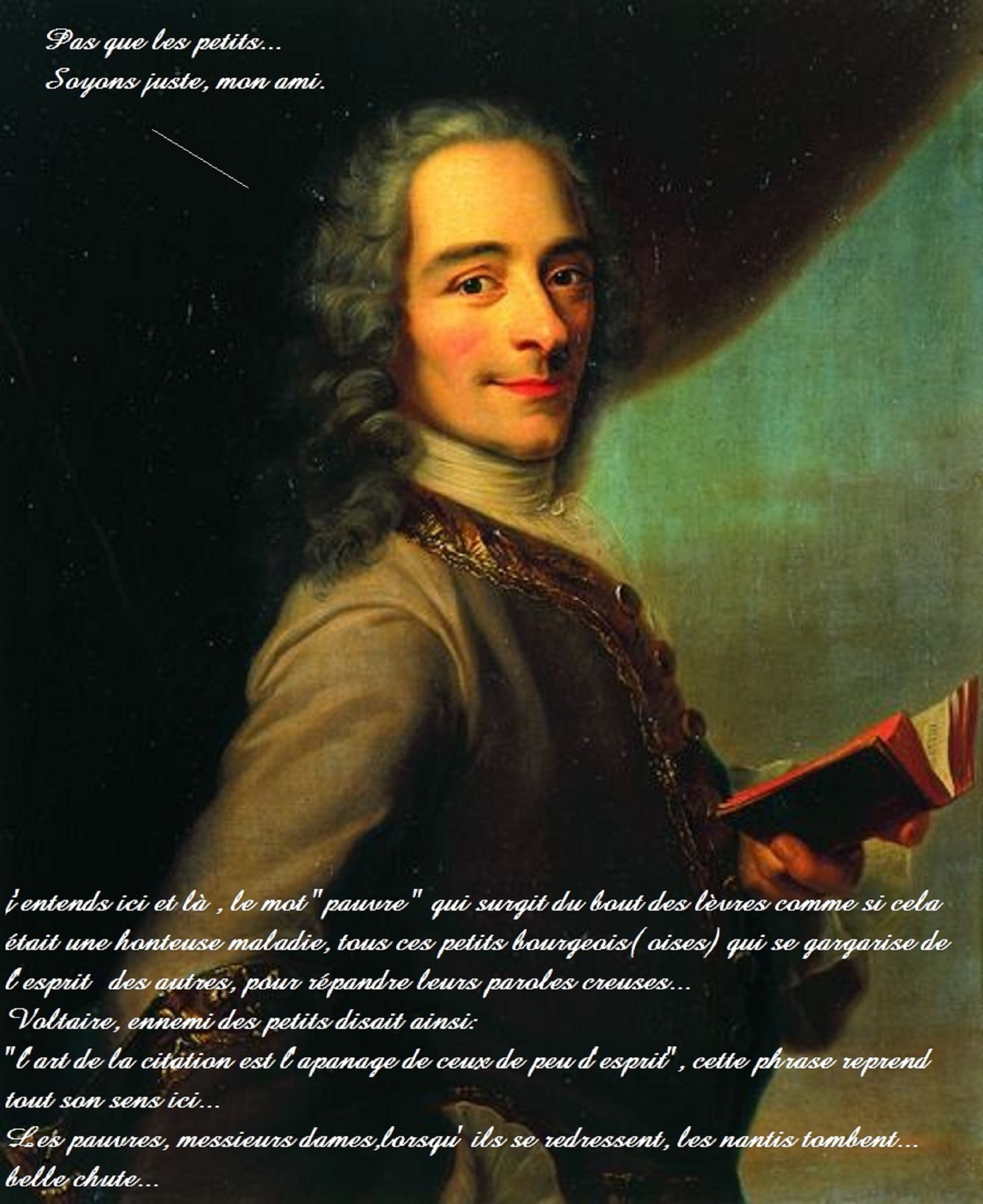 2K, voltaire, Phone HD Wallpaper
