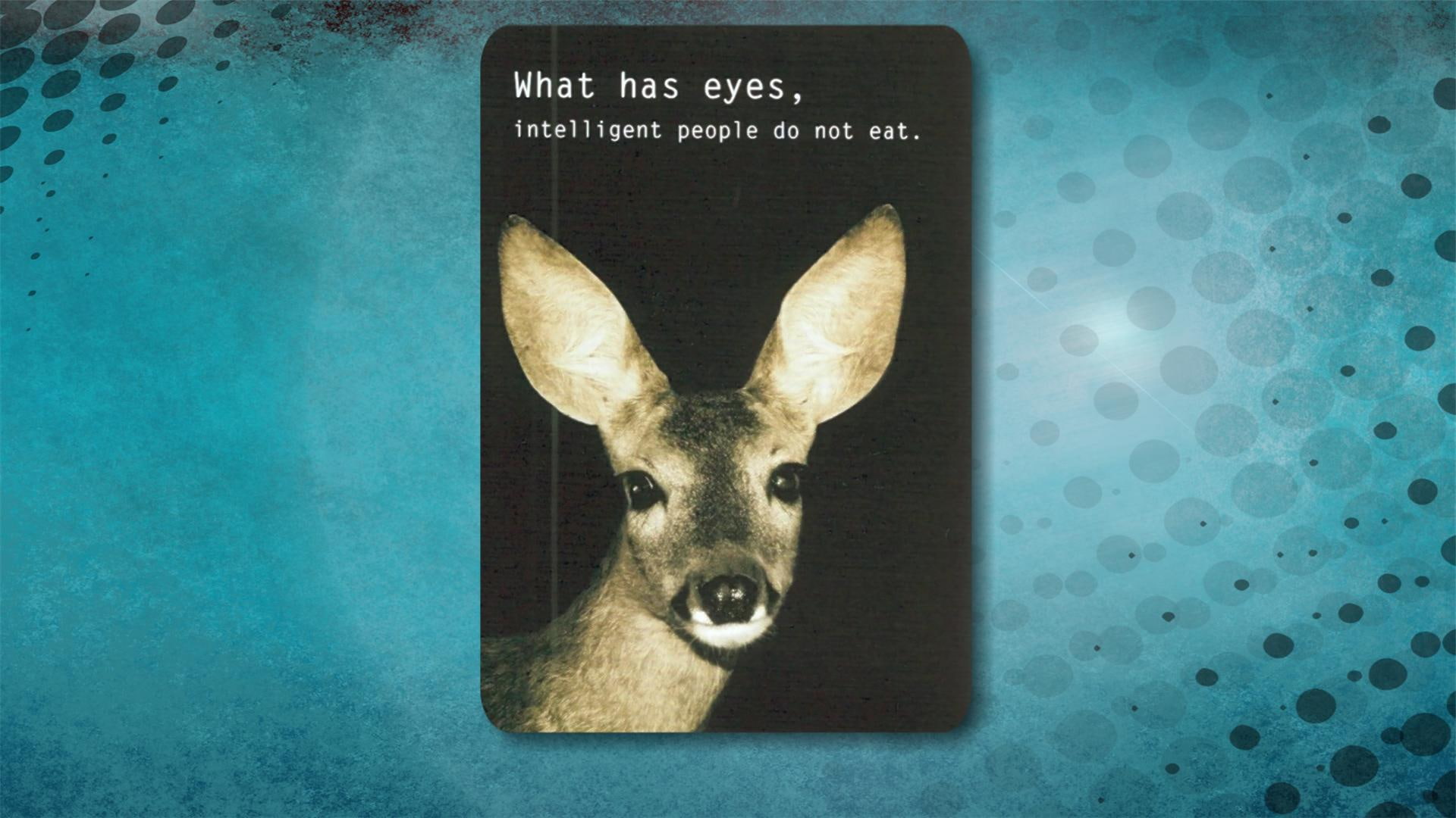 deer, love, animal, 1080P, vegetarian, eyes, vegan, rights, animals, HD Wallpaper