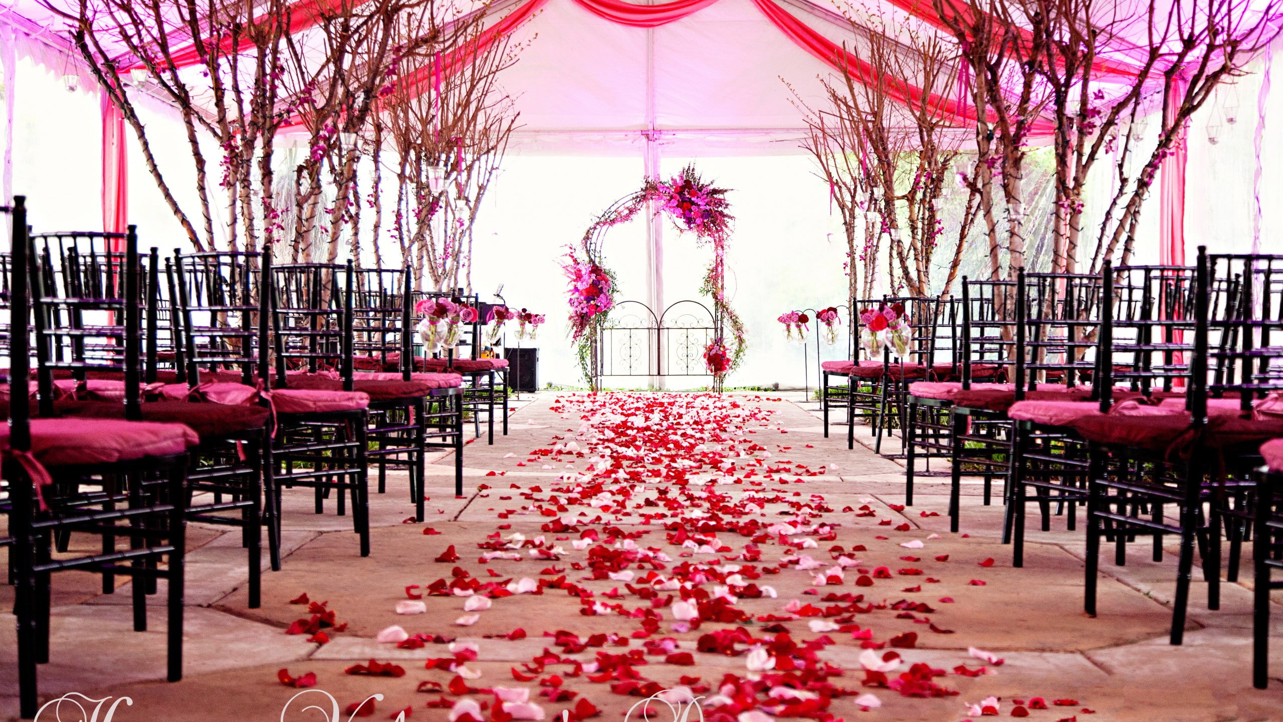 marriage, love, imgresize, 2K, 2560x1440, ceremony, valentines, HD Wallpaper