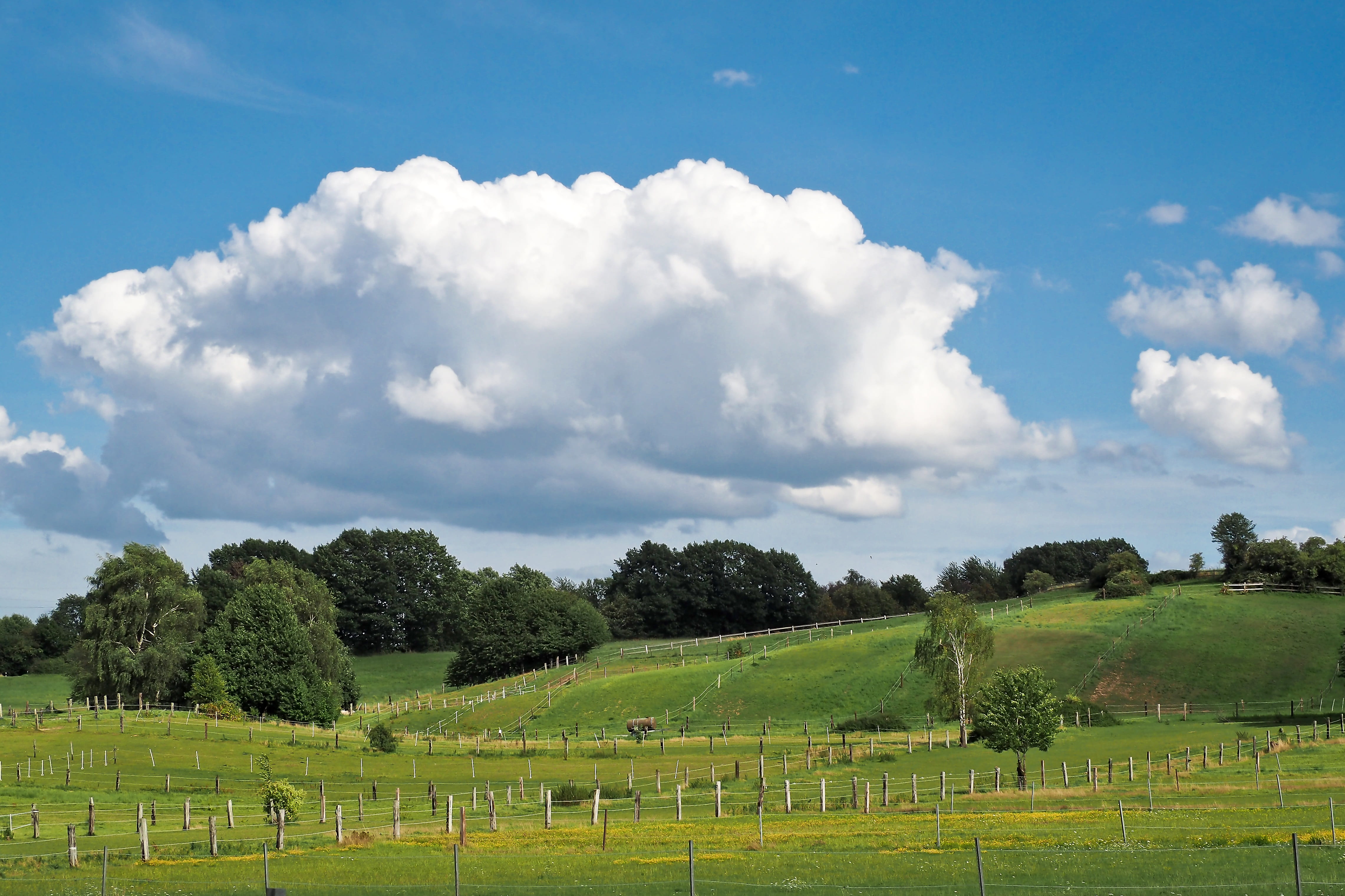 landscape, no people, sunny, idyllic, peaceful atmosphere, clouds, graze, holiday, blue, agriculture, land, tranquility, day, tranquil scene, meadow, relaxation, HD Wallpaper
