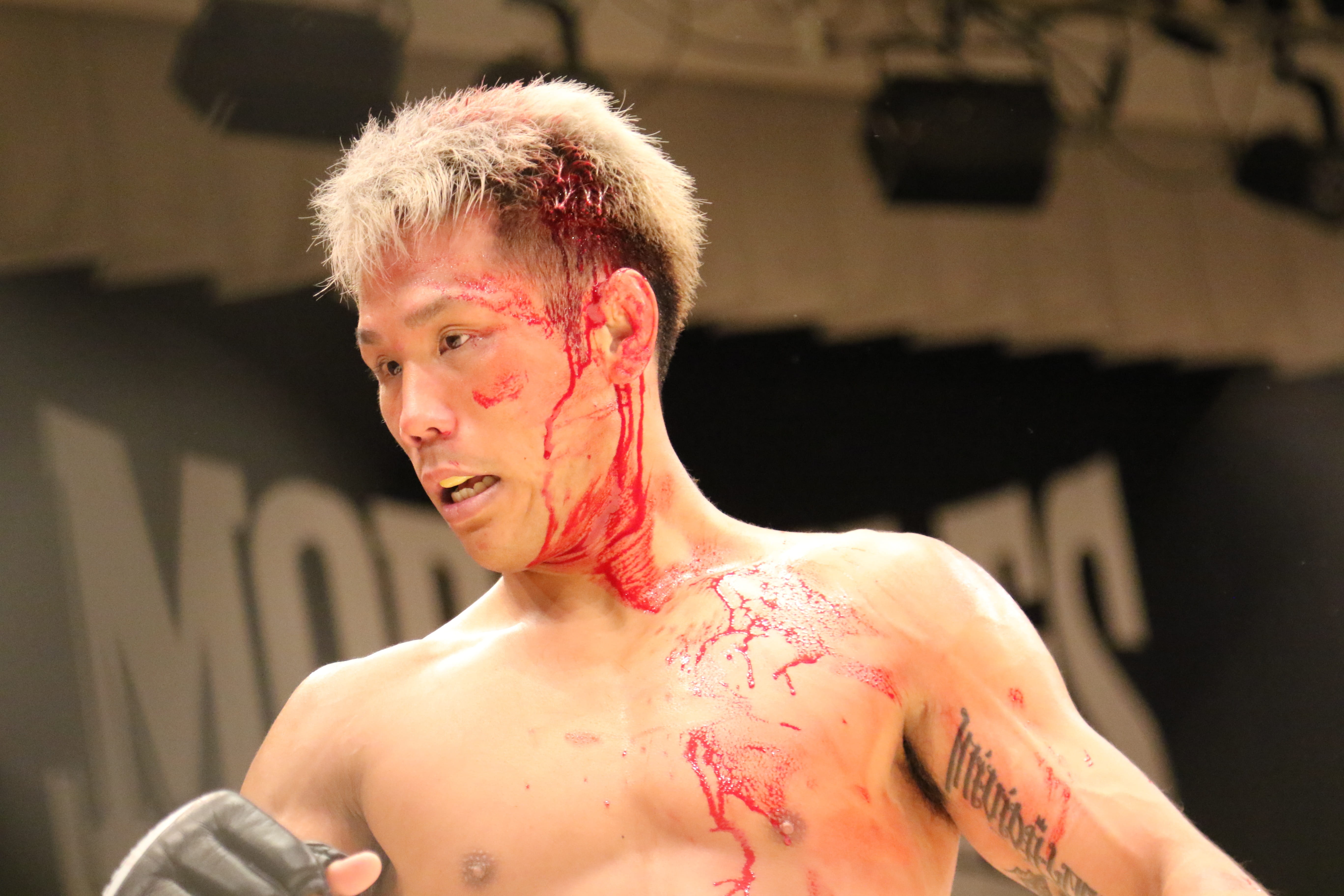 muscular Build, mma, pancrase, body paint, waza, Sport, one young man only, Mixed Martial Arts, adult, ultimate fighting championship, maza, japan, wrestling, HD Wallpaper