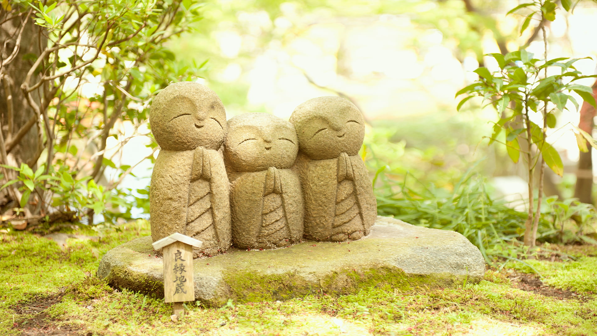 happy, spirituality, art and craft, teddy bear, day, nature, twree buddha, cultures, statues, statue, land, decoration, tree, sculpture, human representation, HD Wallpaper