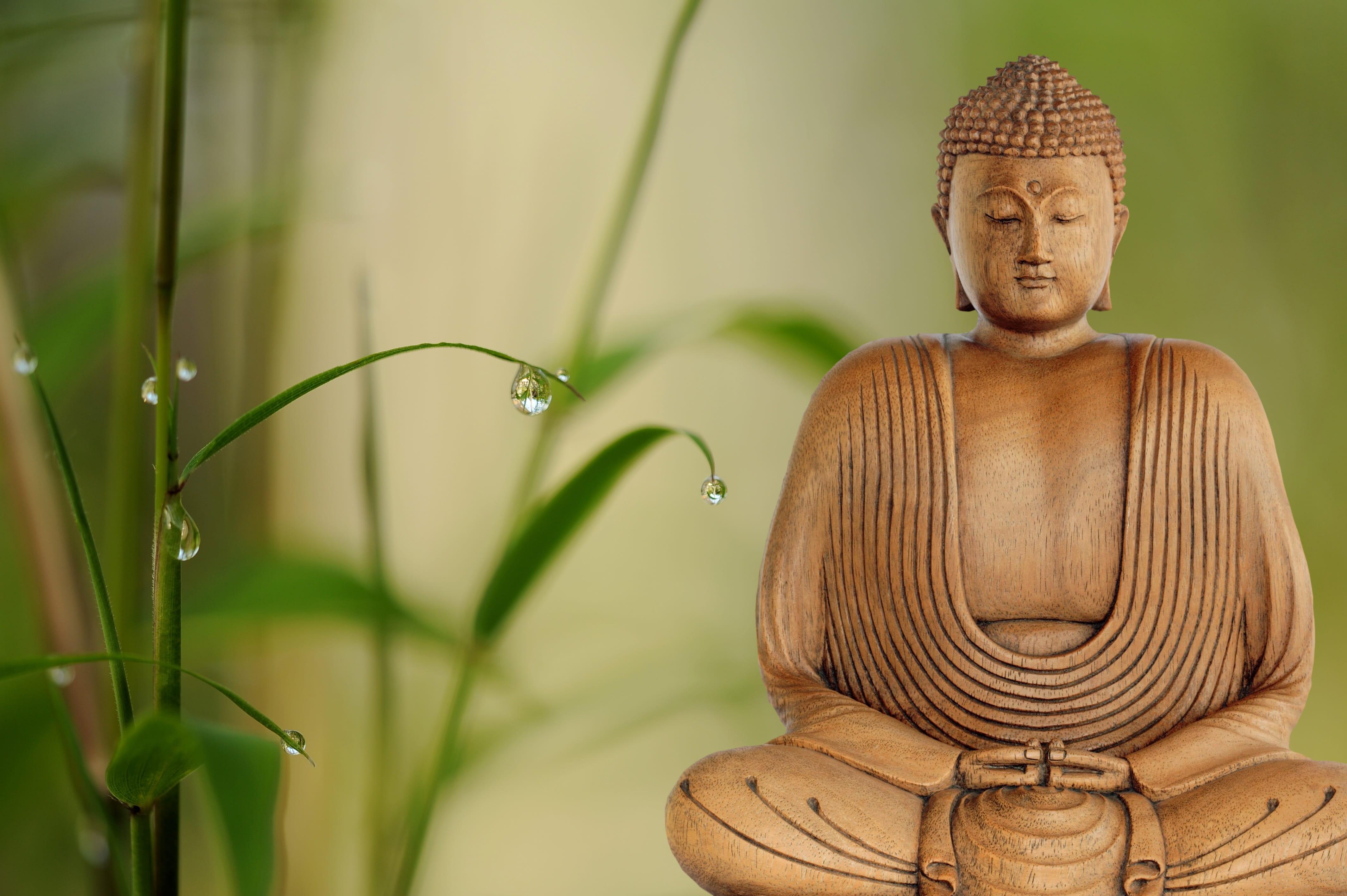sculpture, human representation, ornate, spirituality, drip, idol, photo, mirroring, place of worship, art and craft, 4K, wooden, meditation, religion, HD Wallpaper