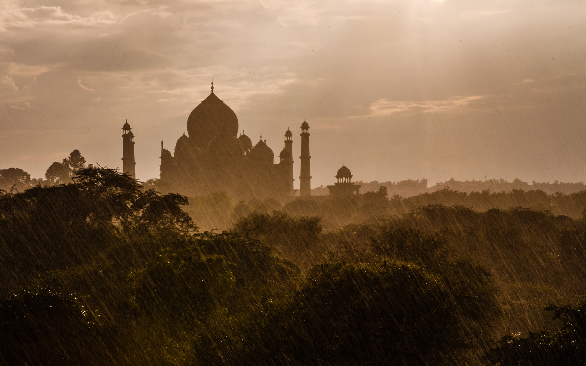 trees, nature, hd, mahal, taj, rain, building, 1080P, HD Wallpaper